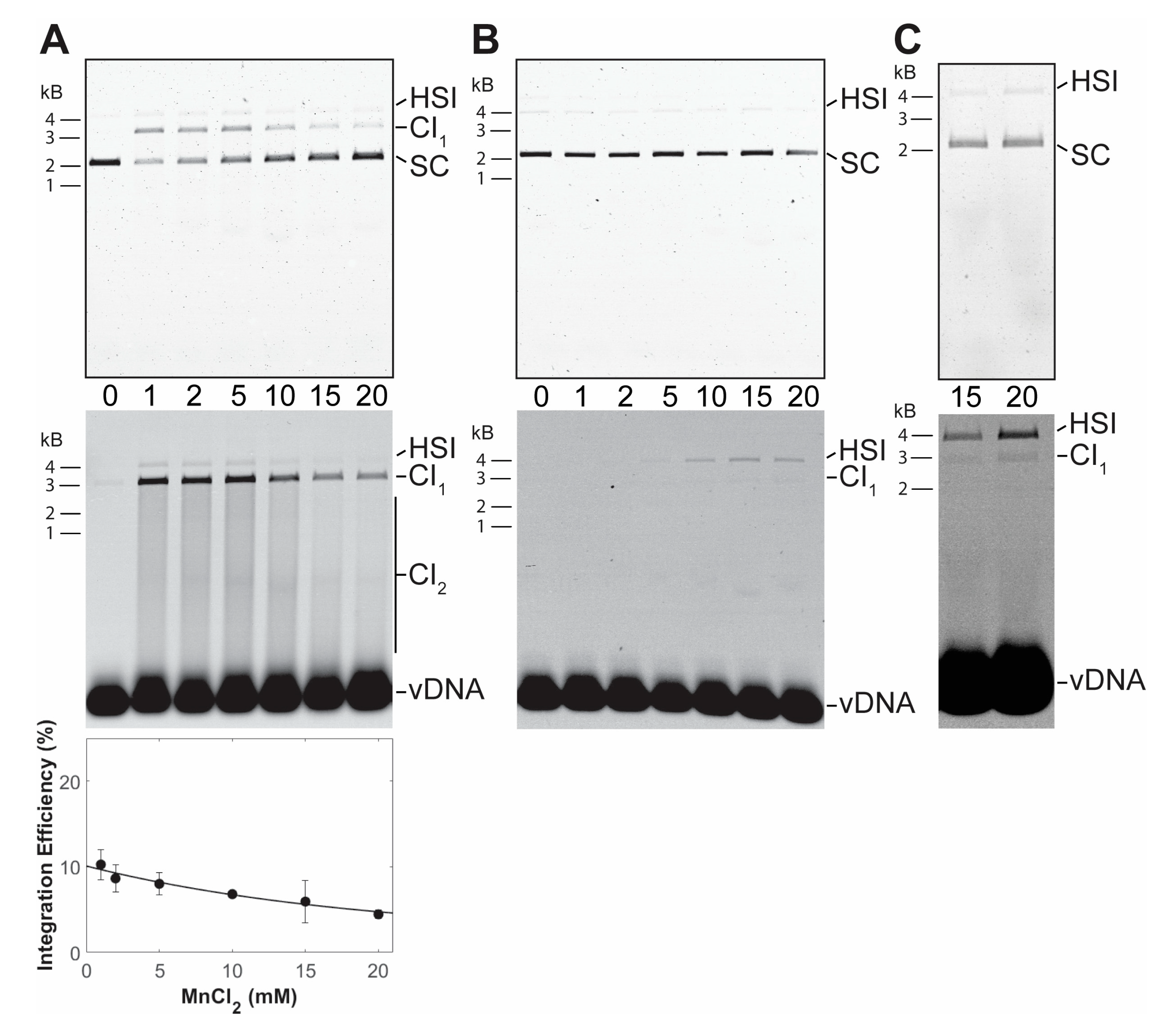 Biomolecules 11 01910 g003