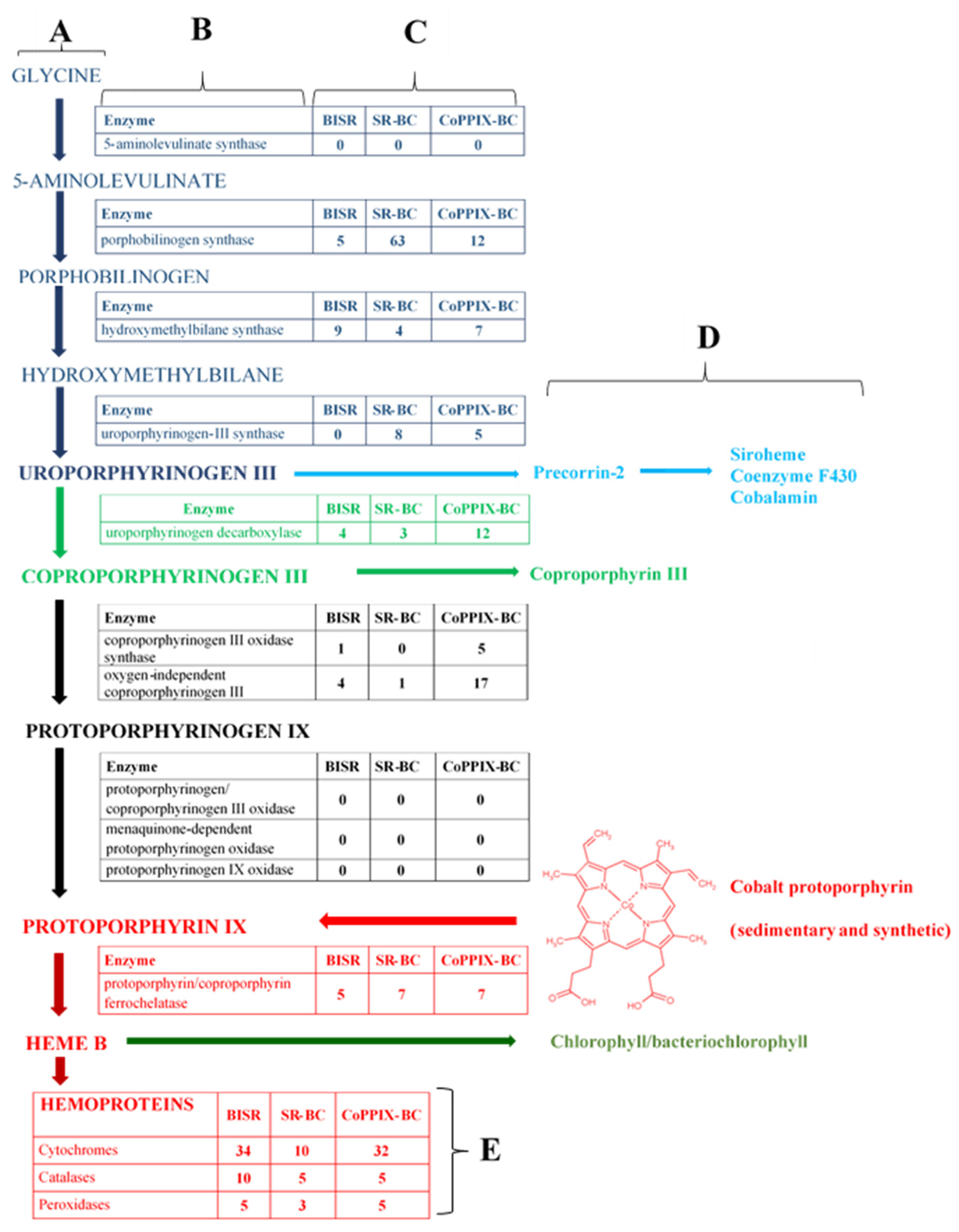 Biomolecules 11 01913 g001