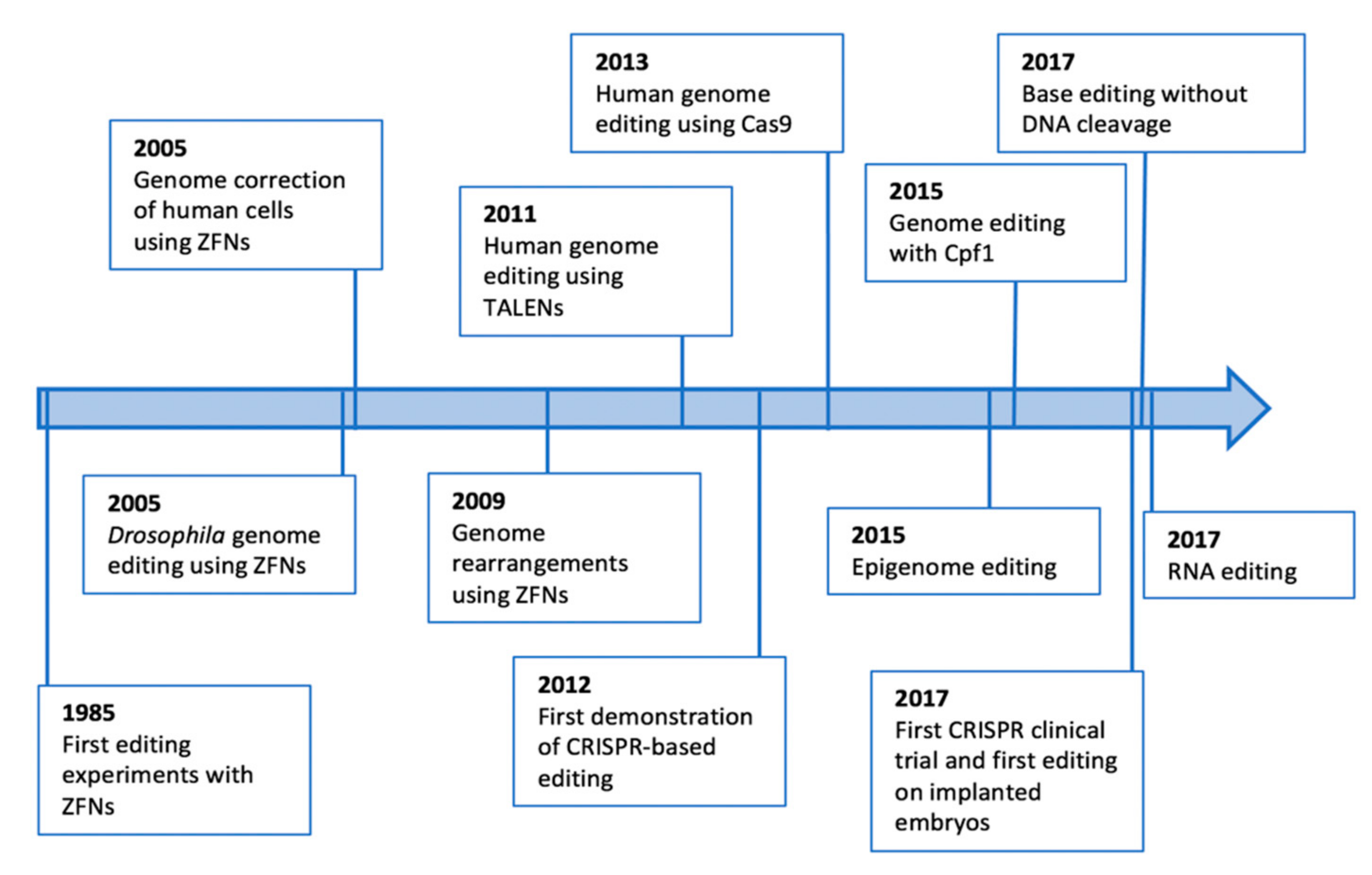 Biomolecules 12 00013 g001