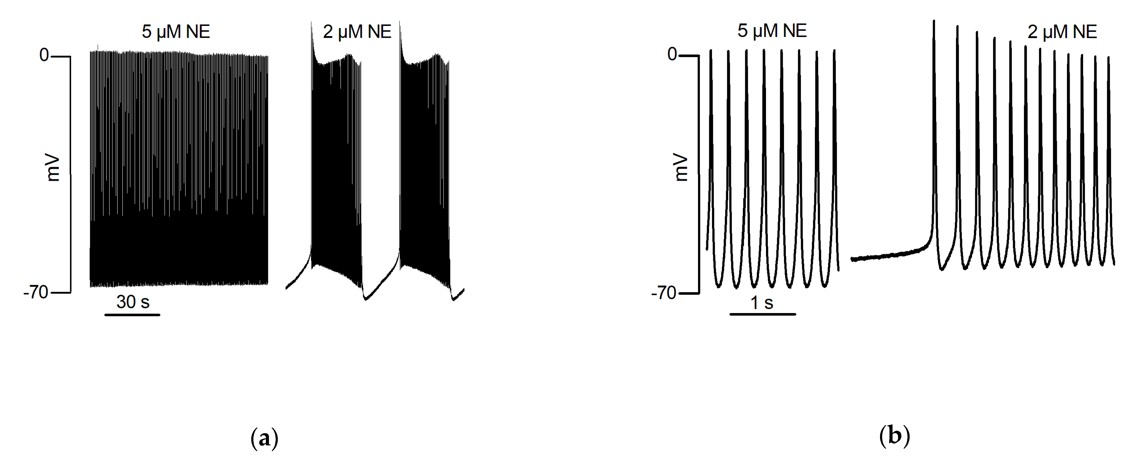 Biomolecules 12 00023 g002