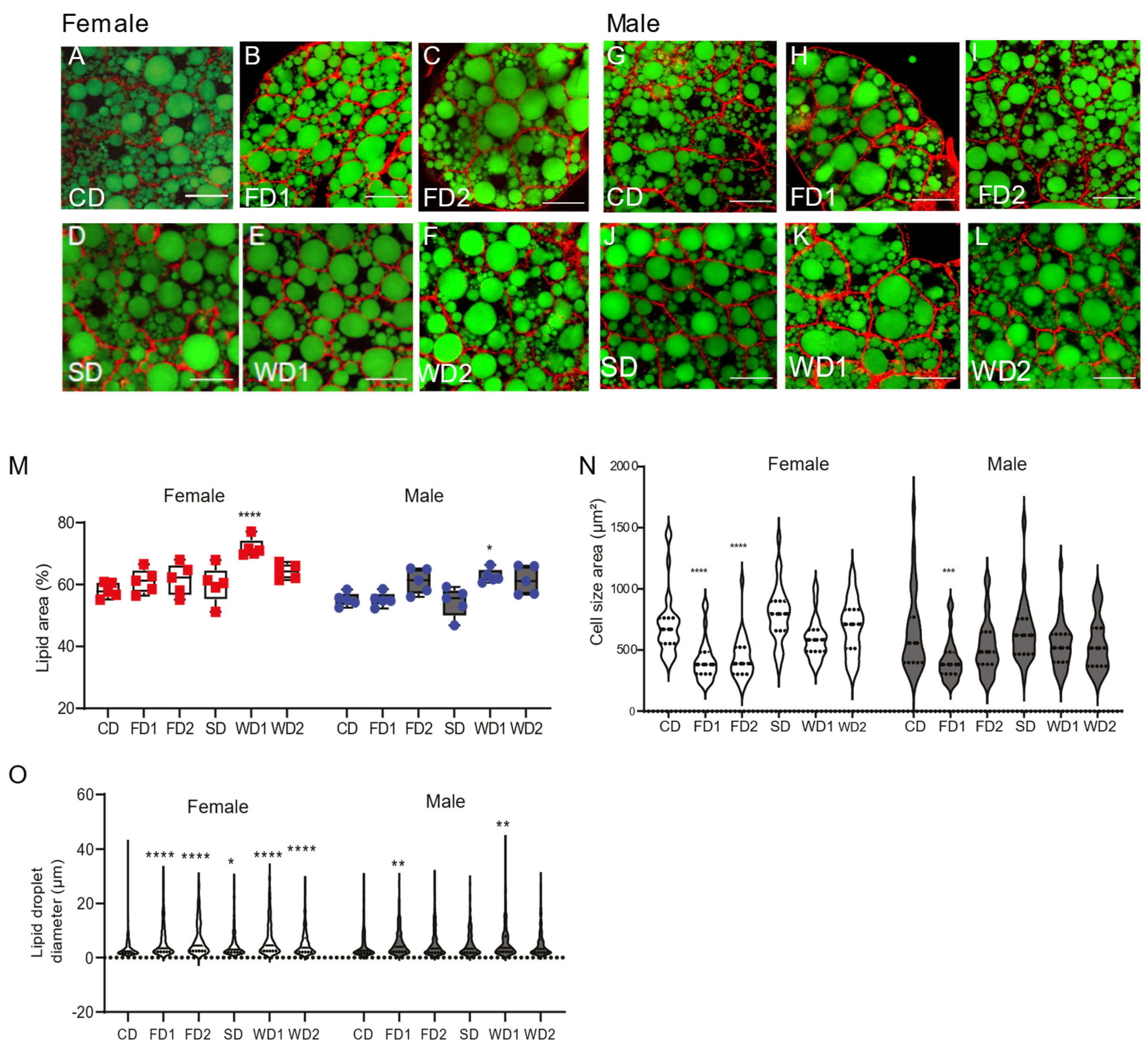 Biomolecules 12 00033 g002