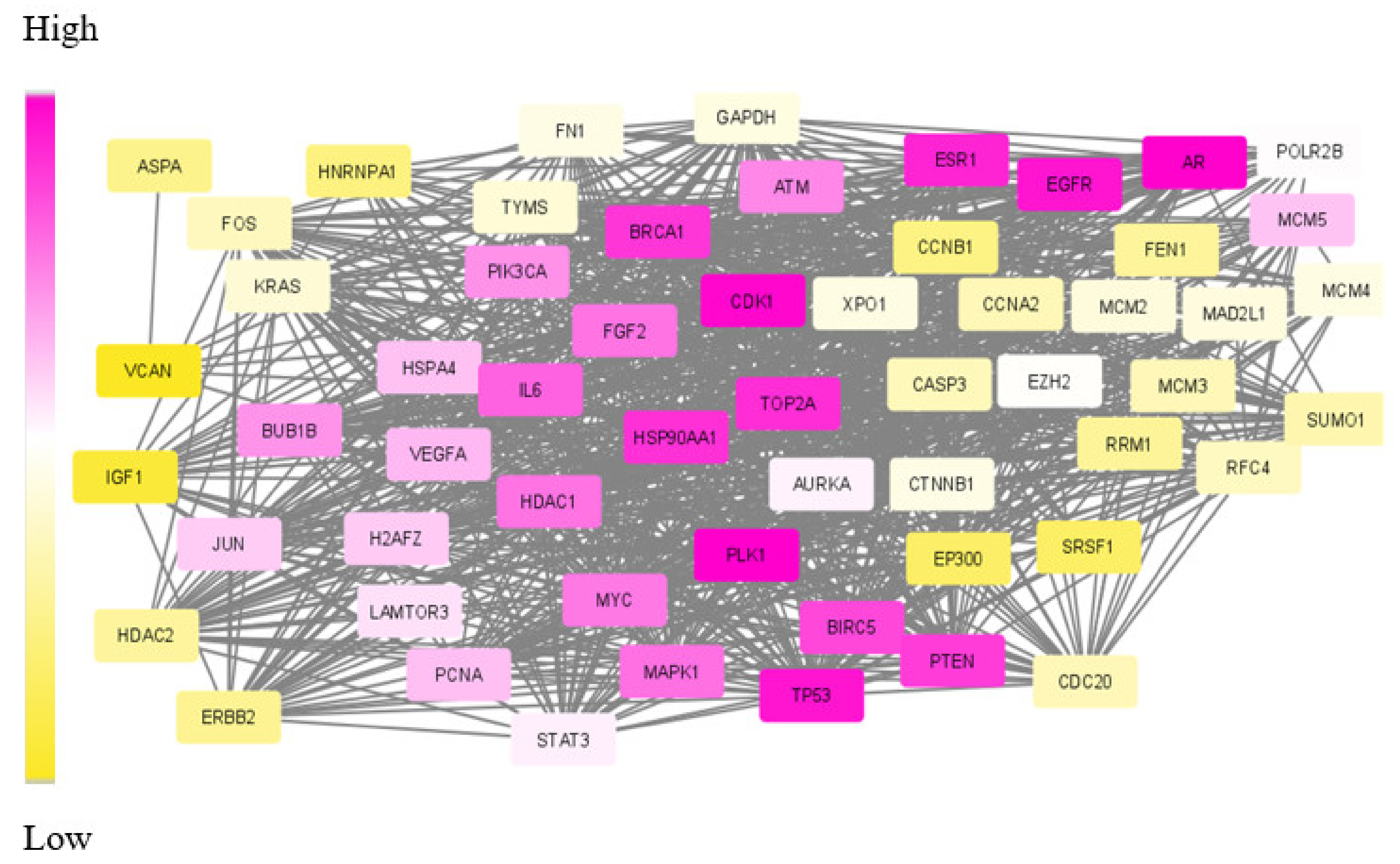 Biomolecules 12 00037 g005