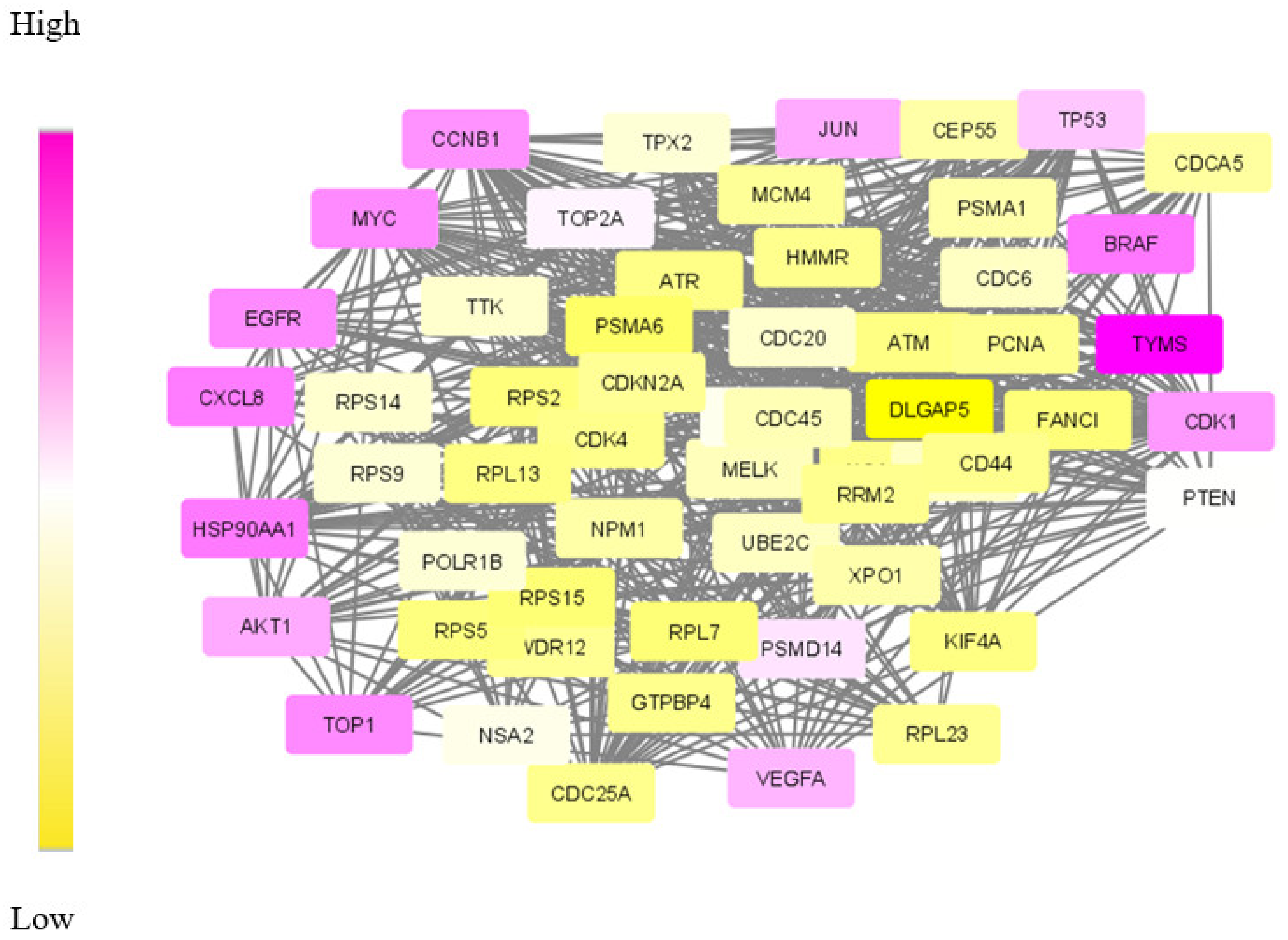 Biomolecules 12 00037 g007