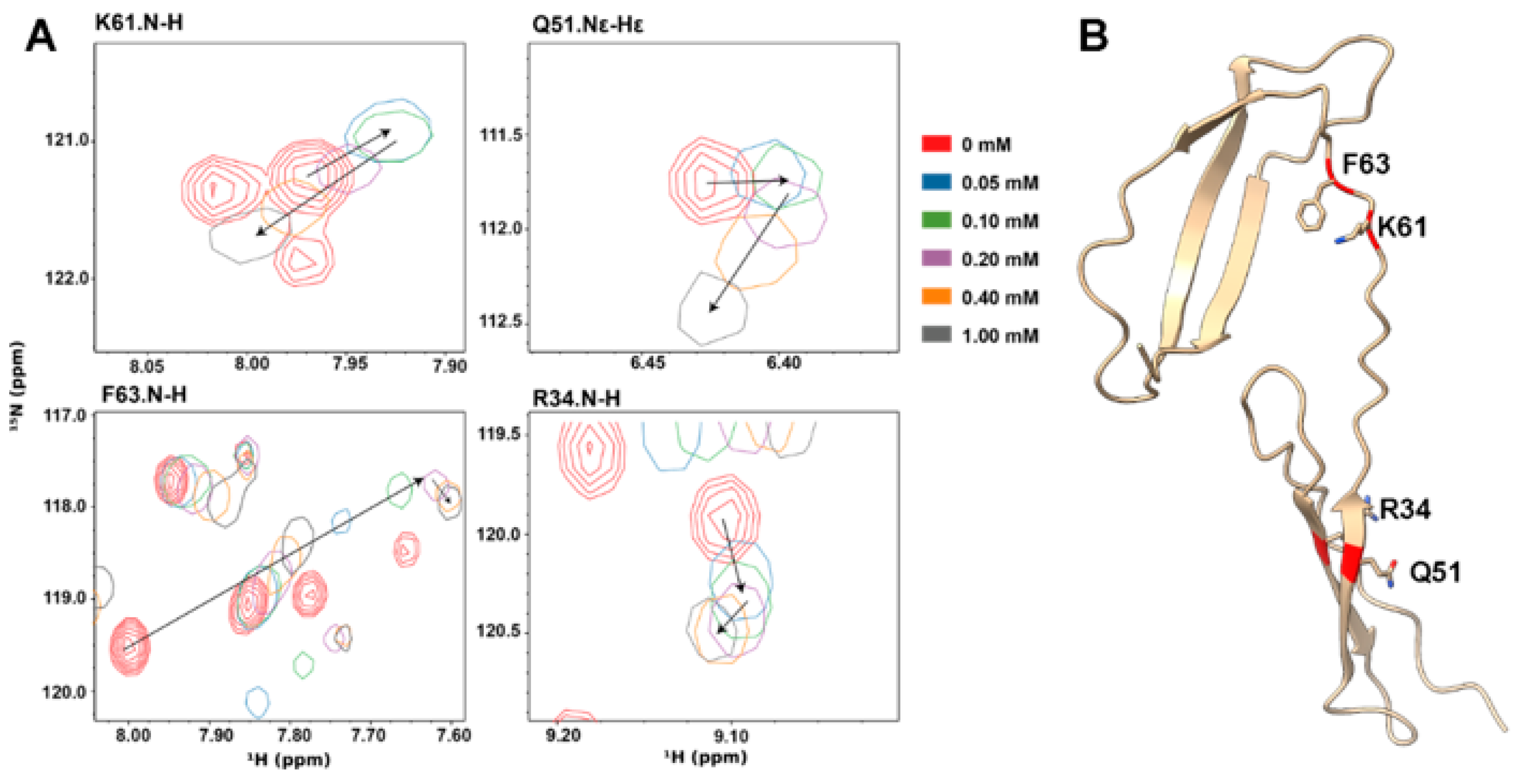 Biomolecules 12 00050 g001 Biomolecules 12 00050 g001