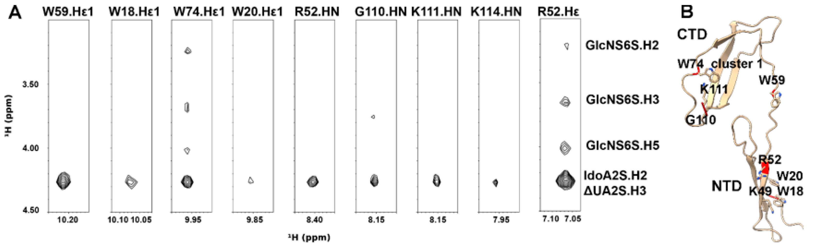 Biomolecules 12 00050 g002 Biomolecules 12 00050 g002