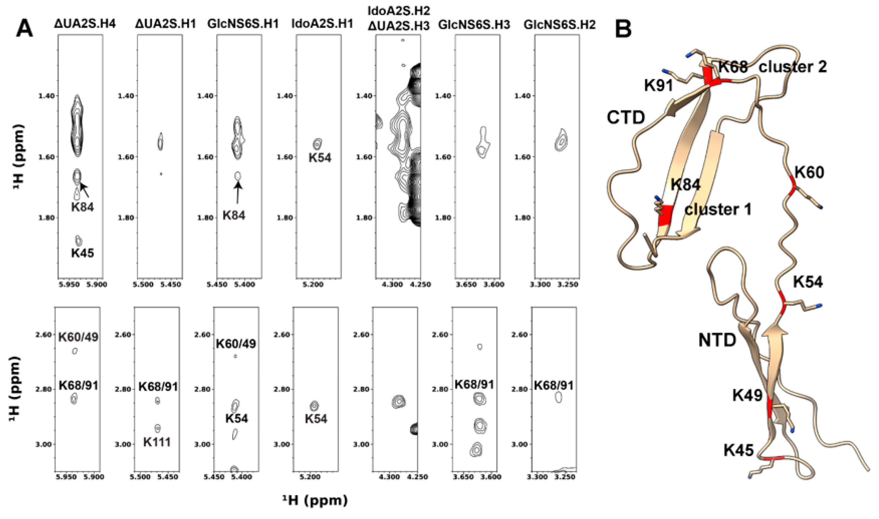 Biomolecules 12 00050 g004 Biomolecules 12 00050 g004