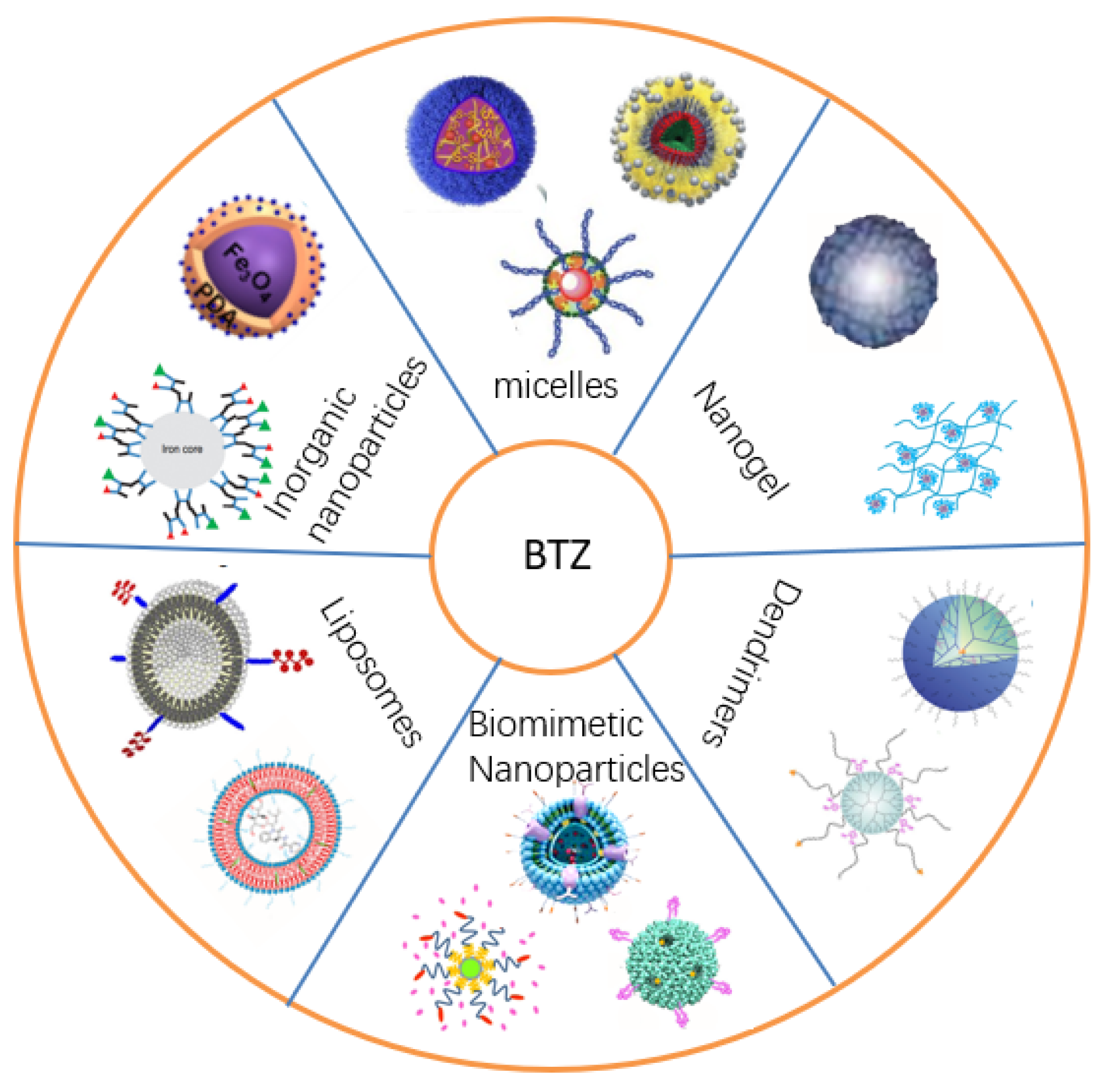 Biomolecules 12 00051 g002