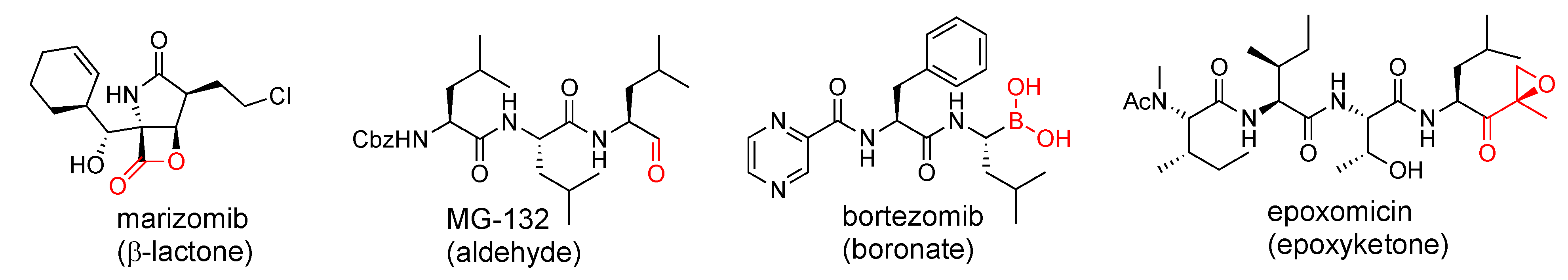 Biomolecules 12 00054 g002