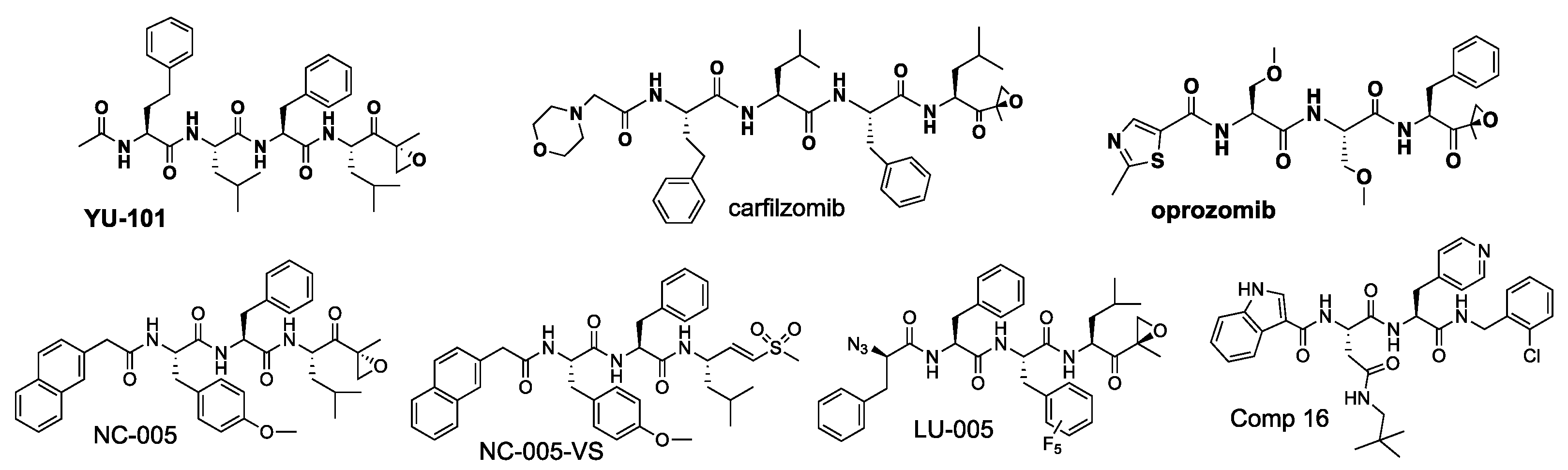 Biomolecules 12 00054 g003