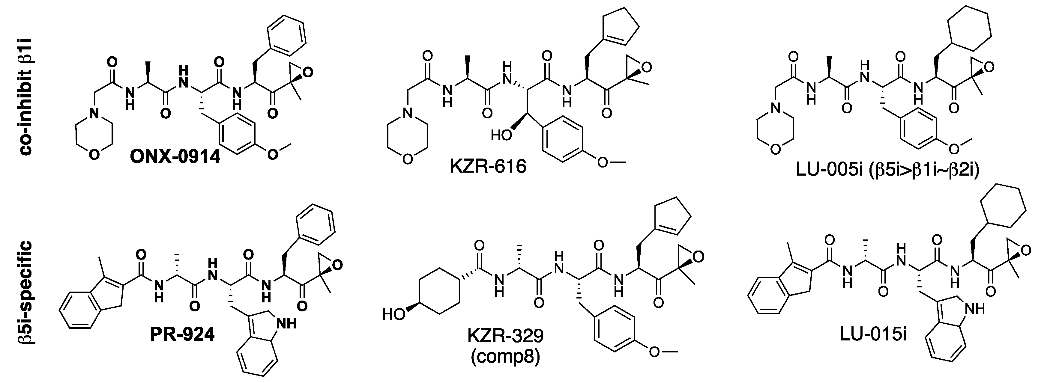 Biomolecules 12 00054 g004