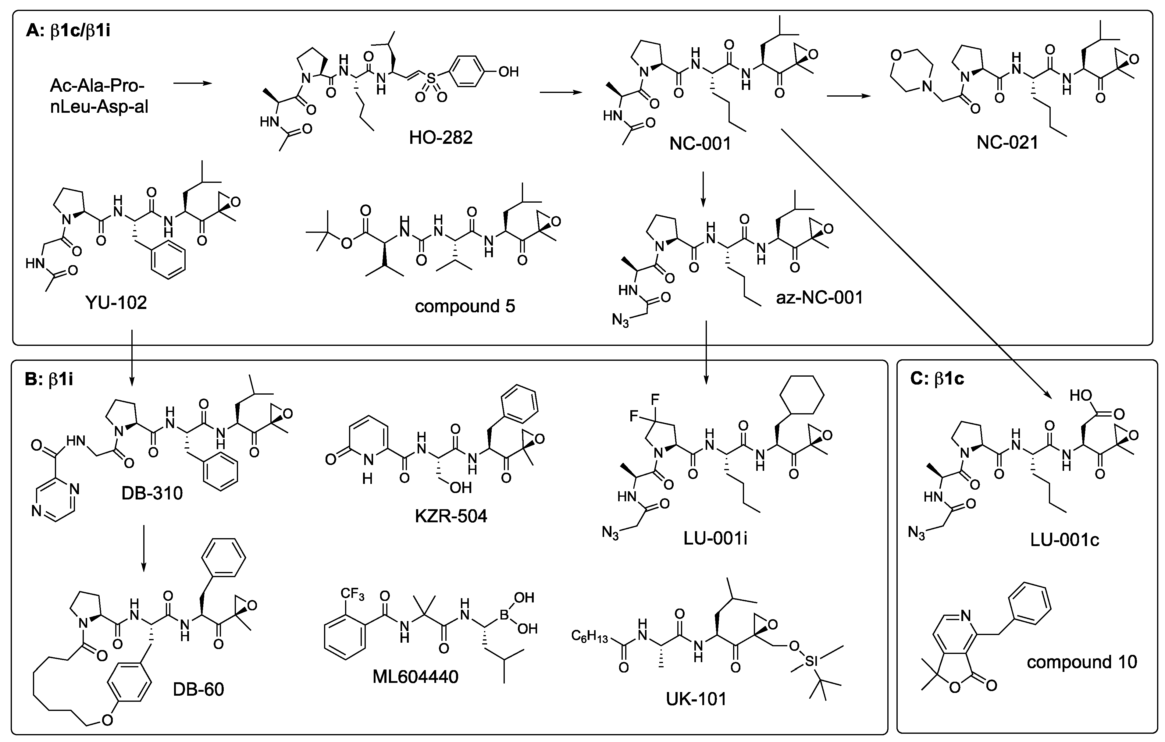 Biomolecules 12 00054 g008