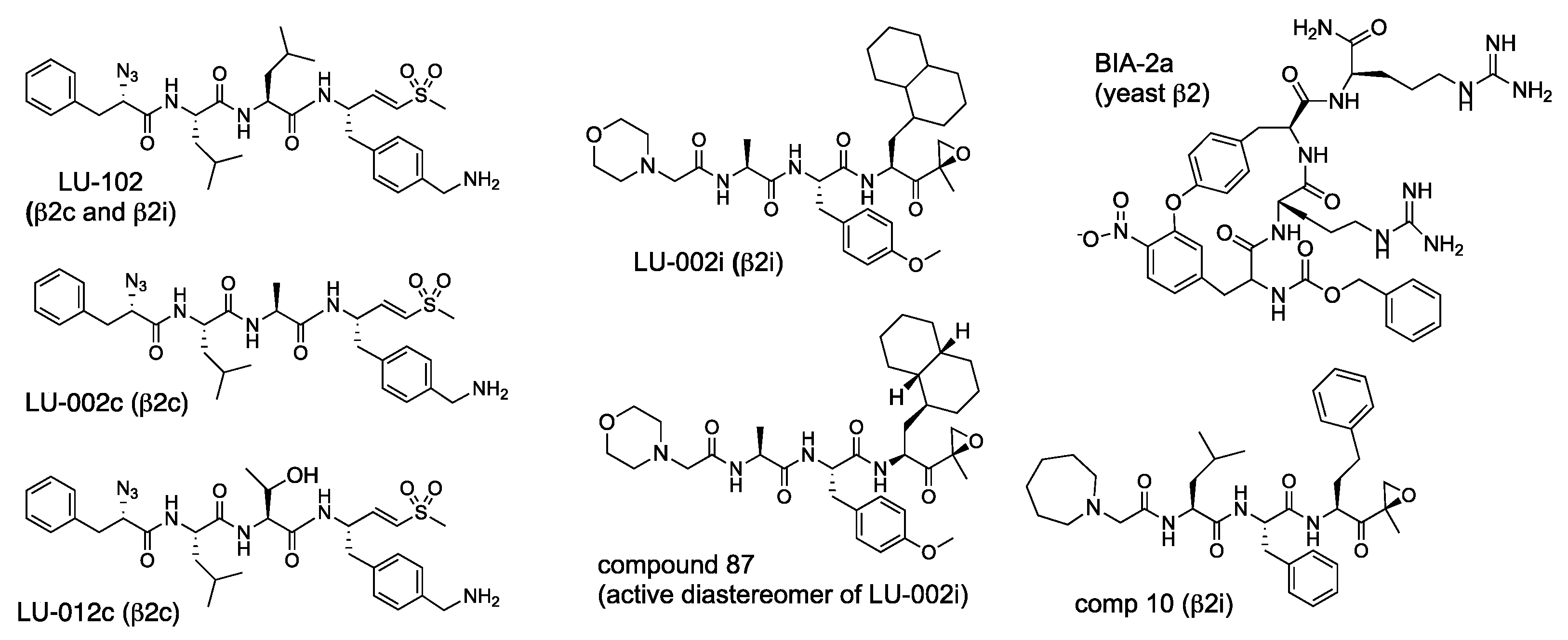 Biomolecules 12 00054 g009