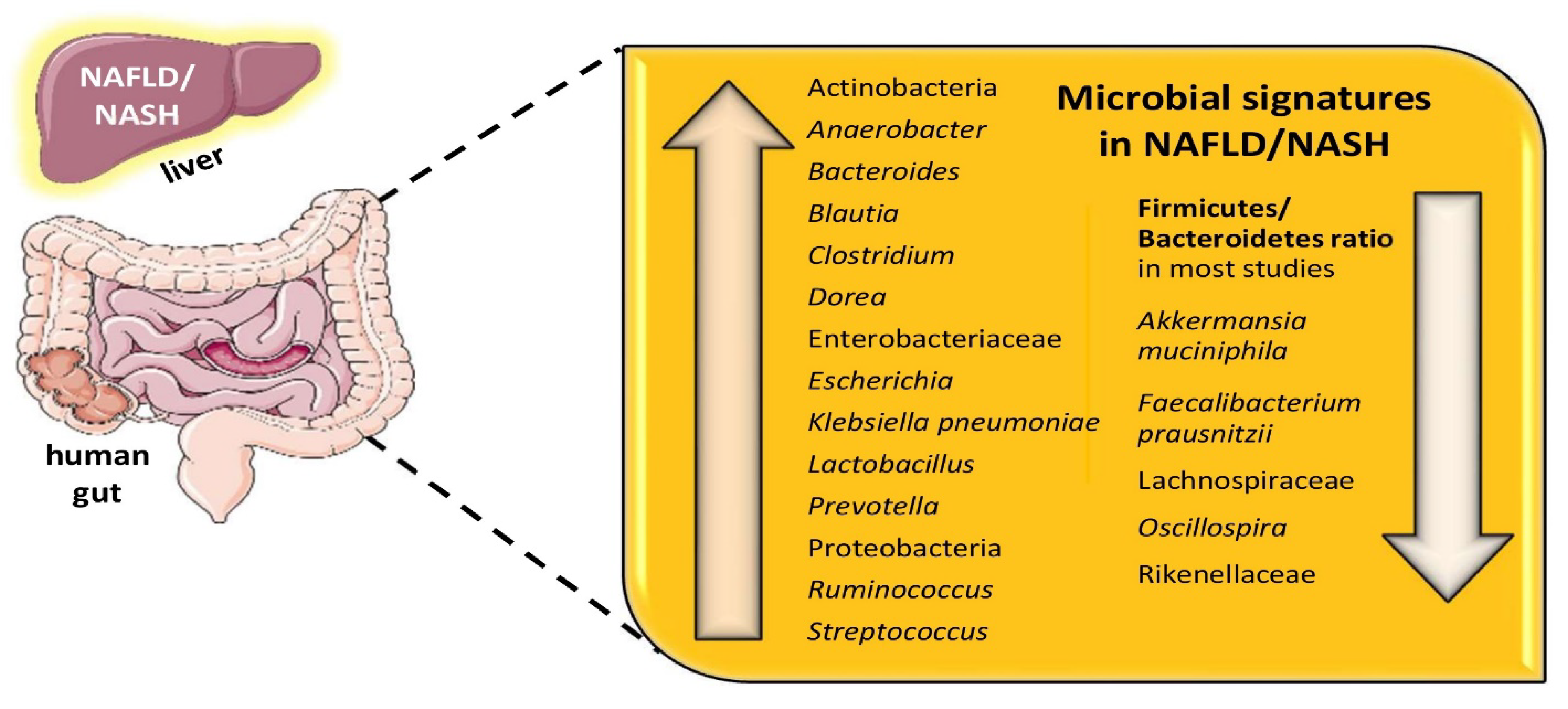 Biomolecules 12 00056 g002 Biomolecules 12 00056 g002