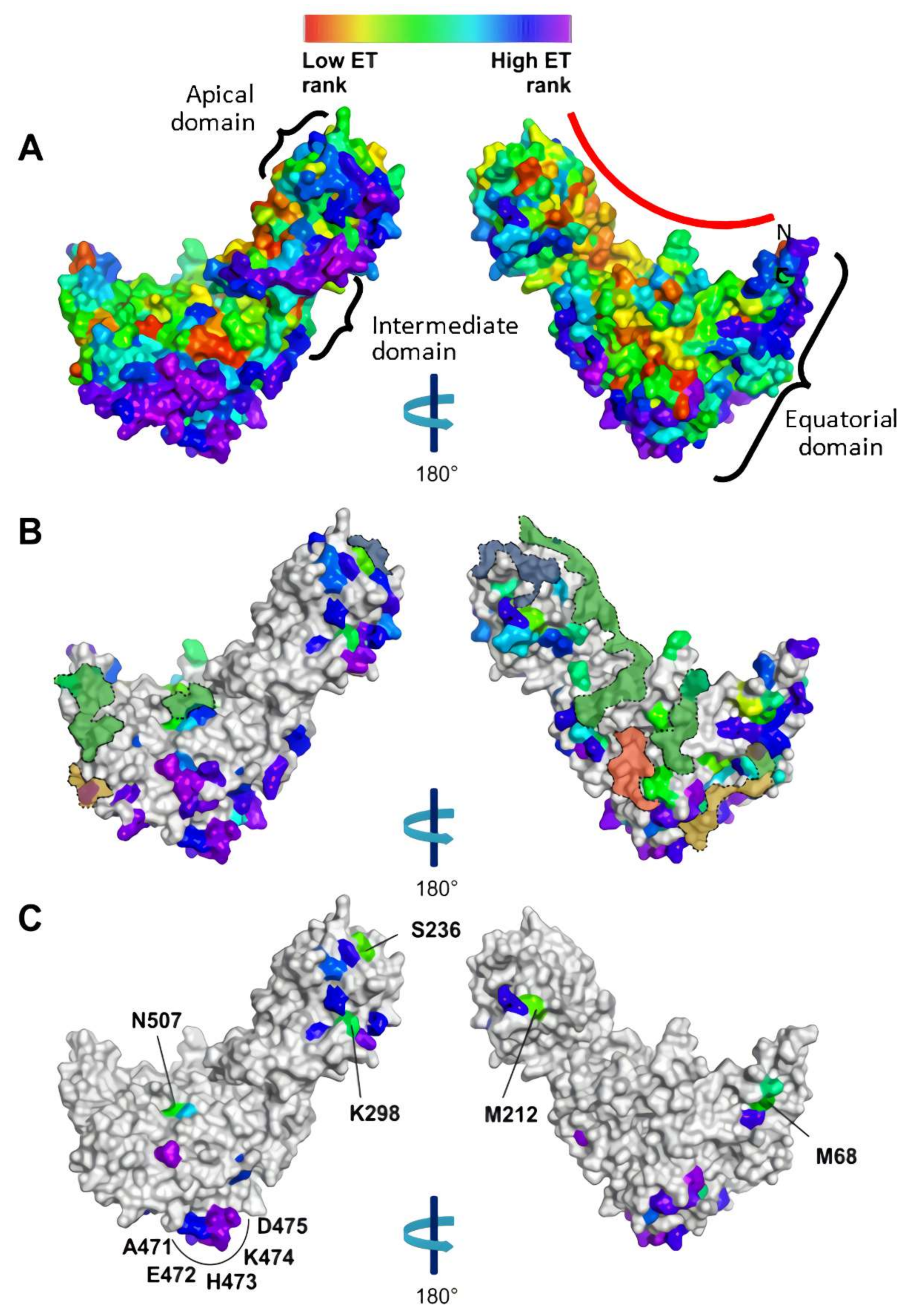 Biomolecules 12 00059 g002 Biomolecules 12 00059 g002