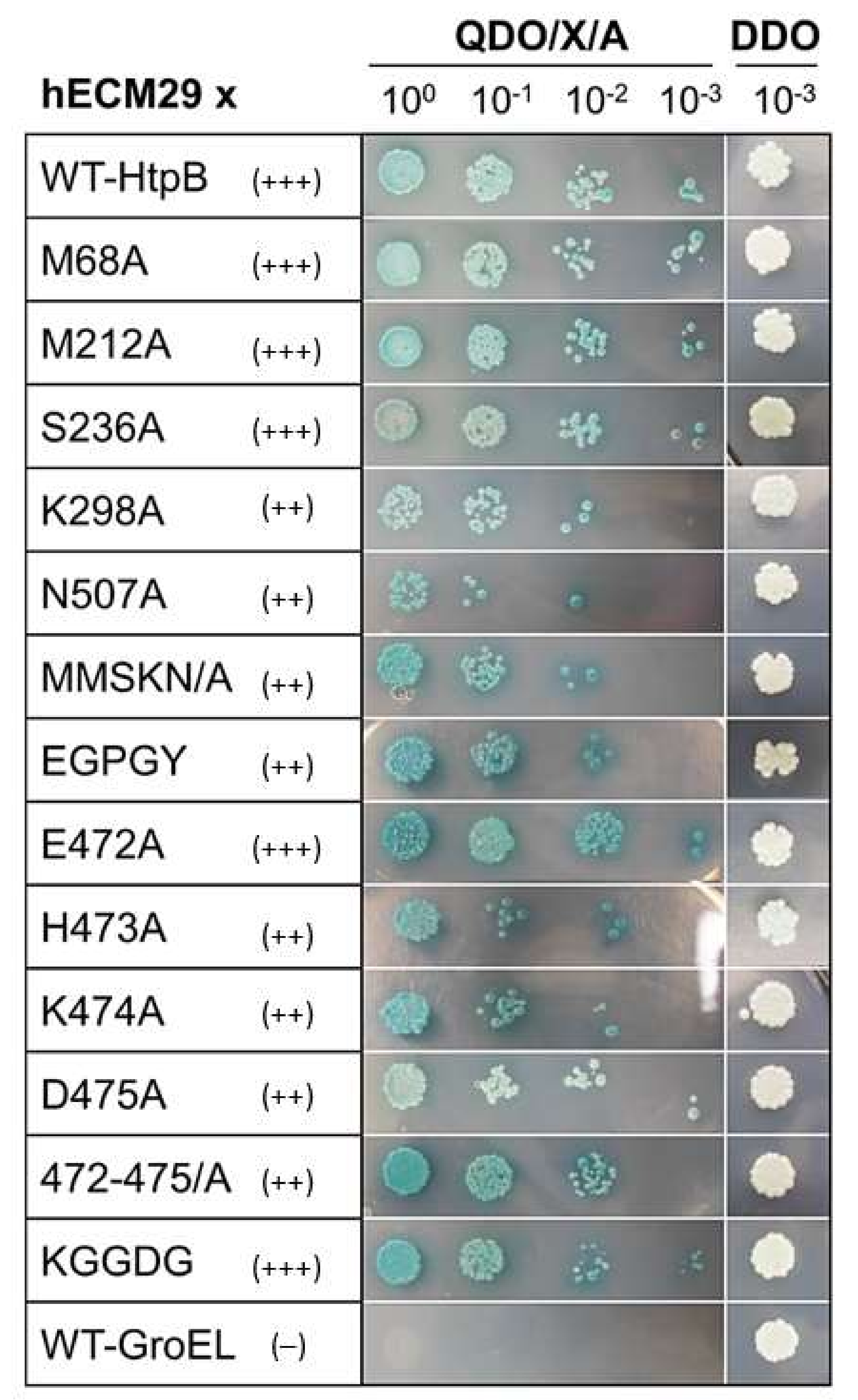 Biomolecules 12 00059 g005 Biomolecules 12 00059 g005