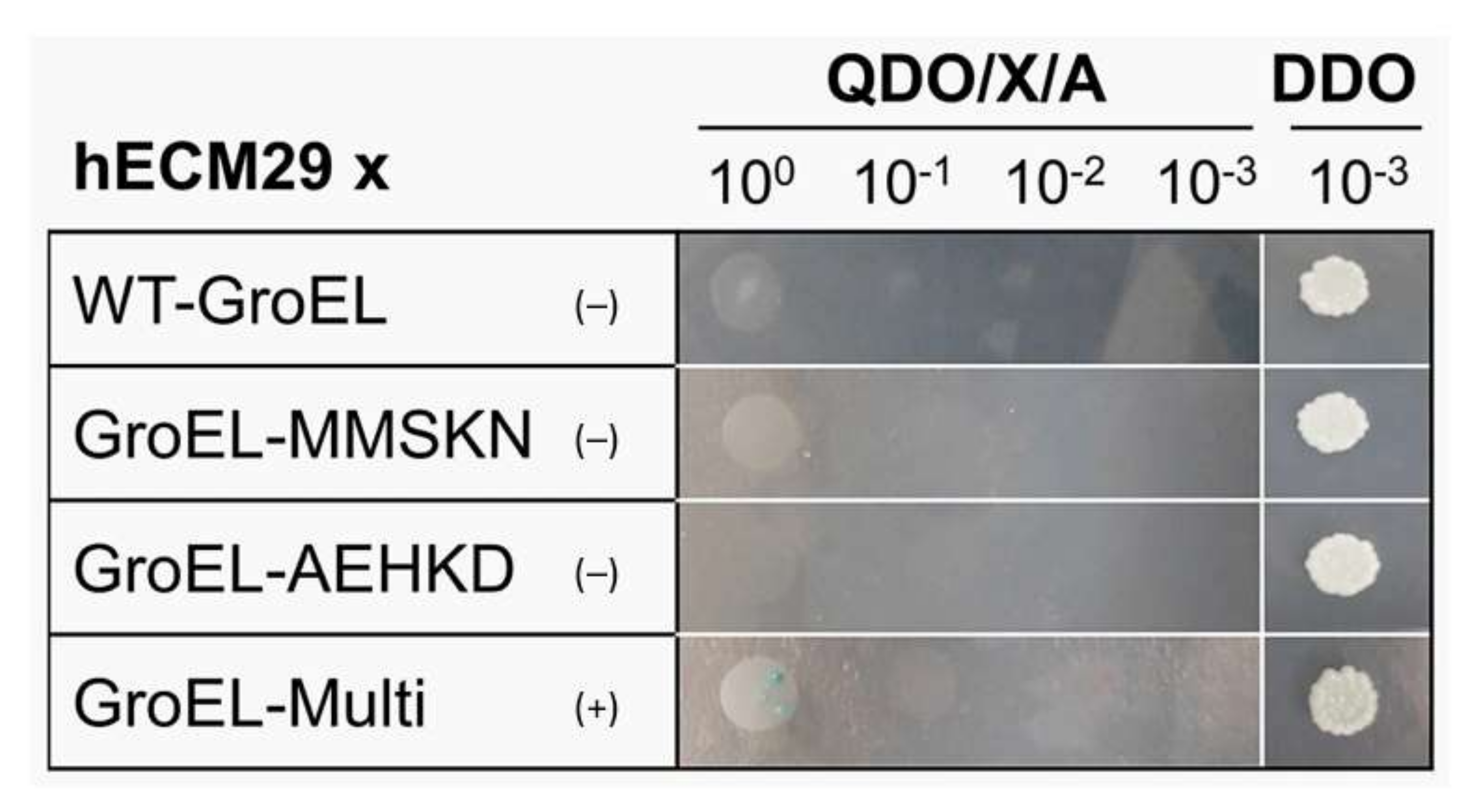 Biomolecules 12 00059 g007 Biomolecules 12 00059 g007