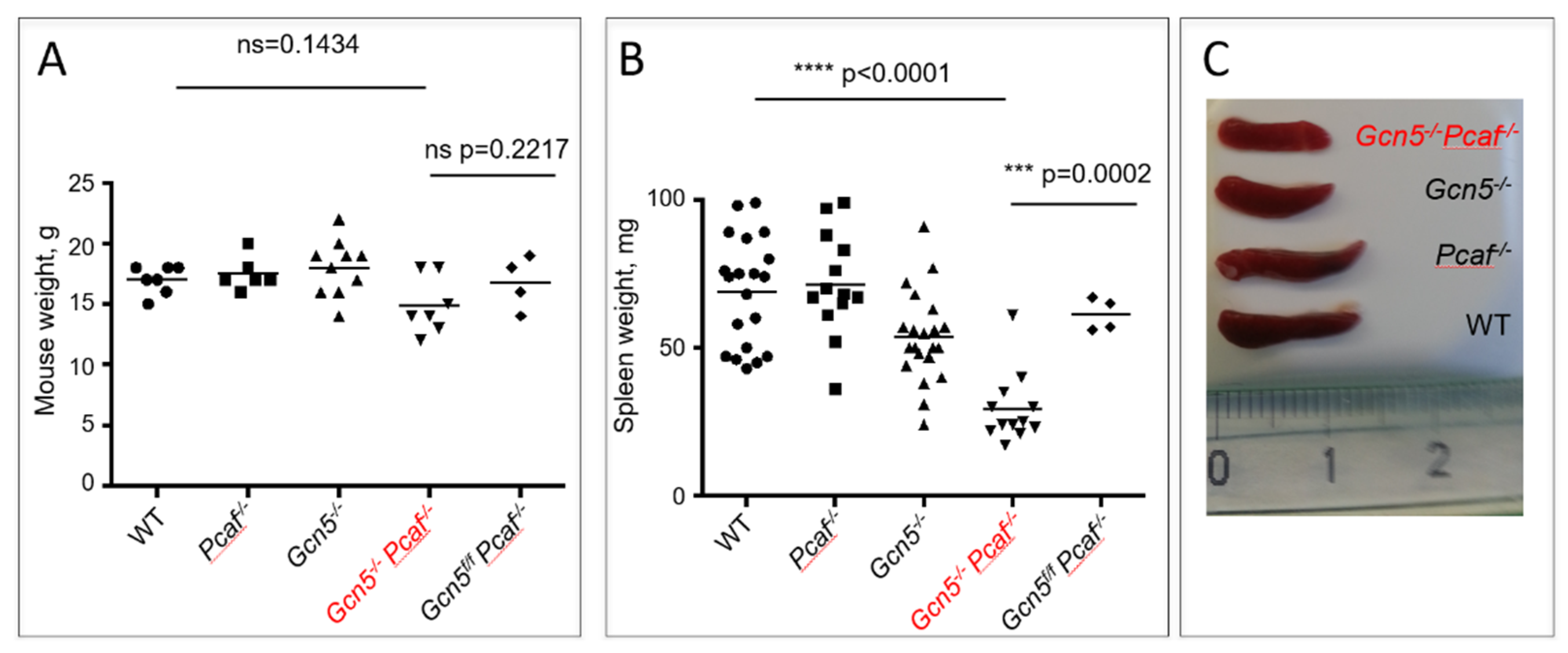 Biomolecules 12 00061 g001