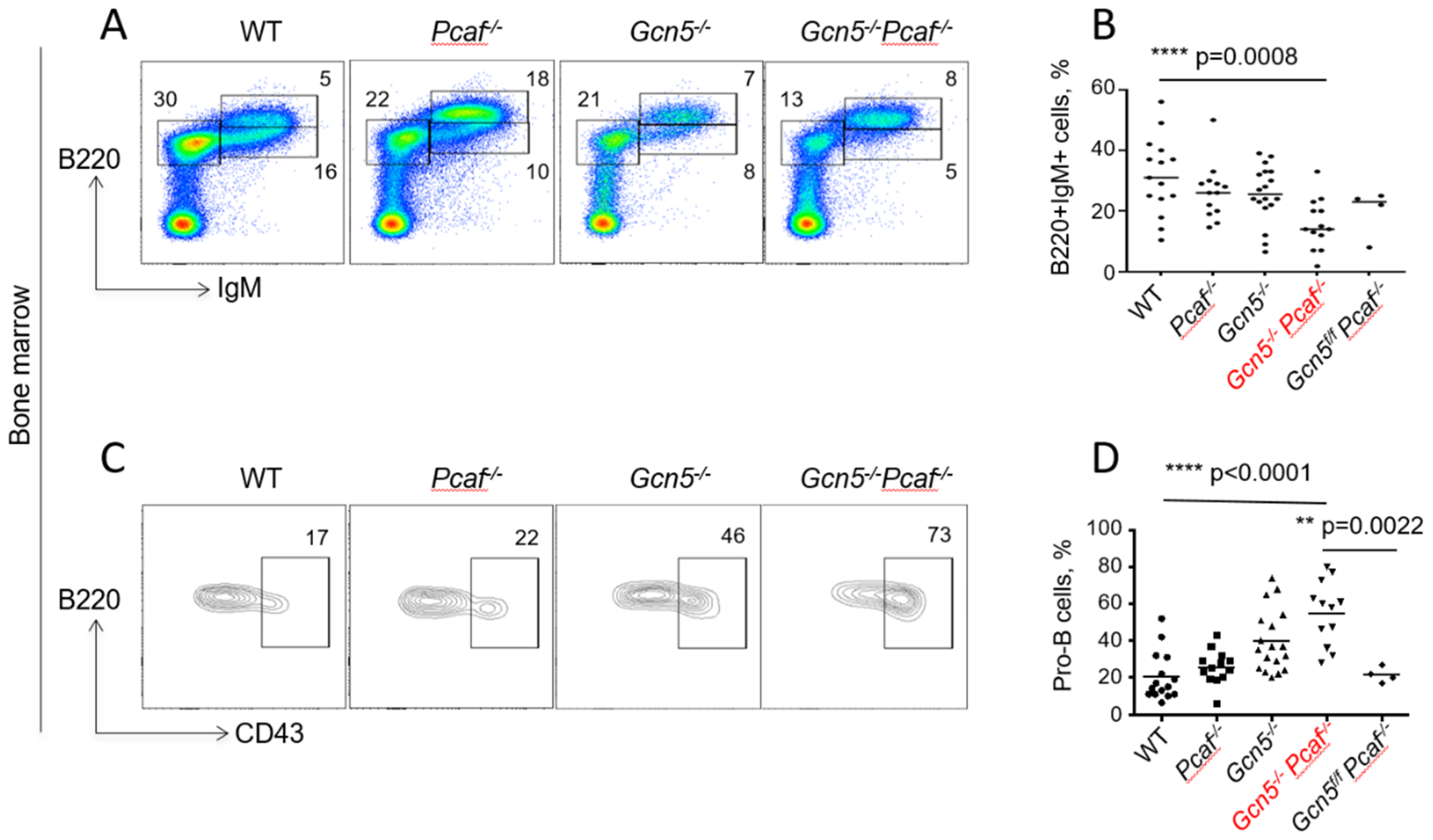 Biomolecules 12 00061 g003