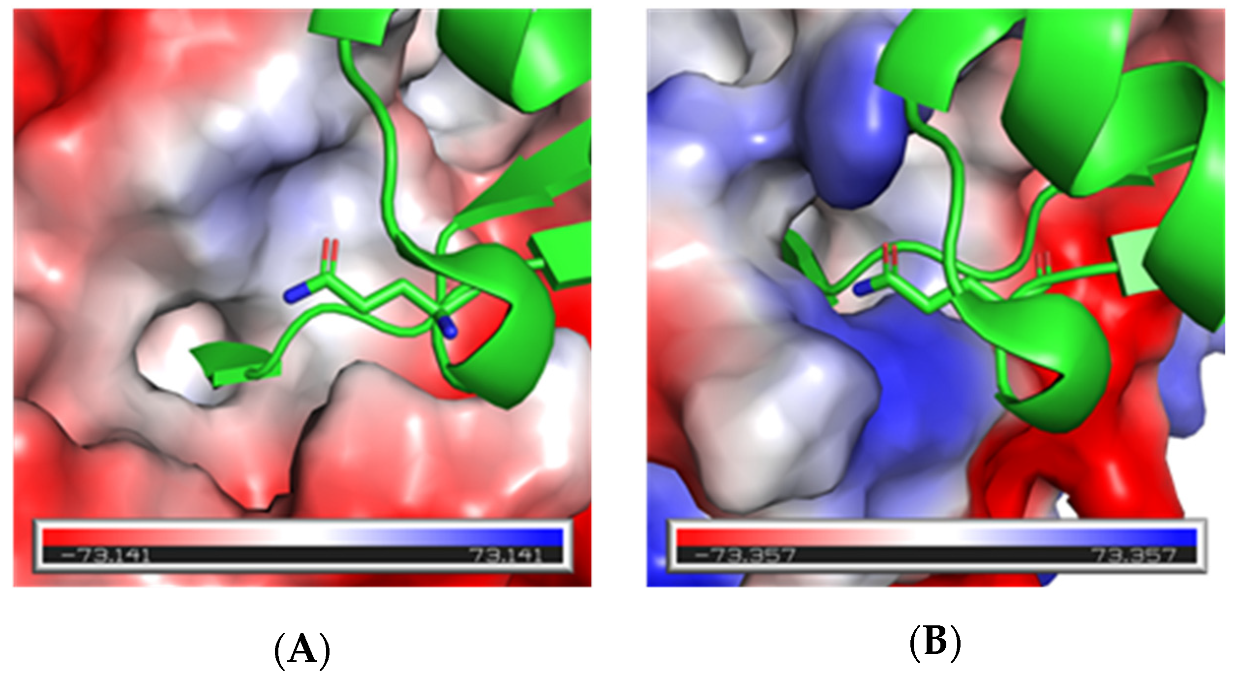 Biomolecules 12 00062 g002 Biomolecules 12 00062 g002