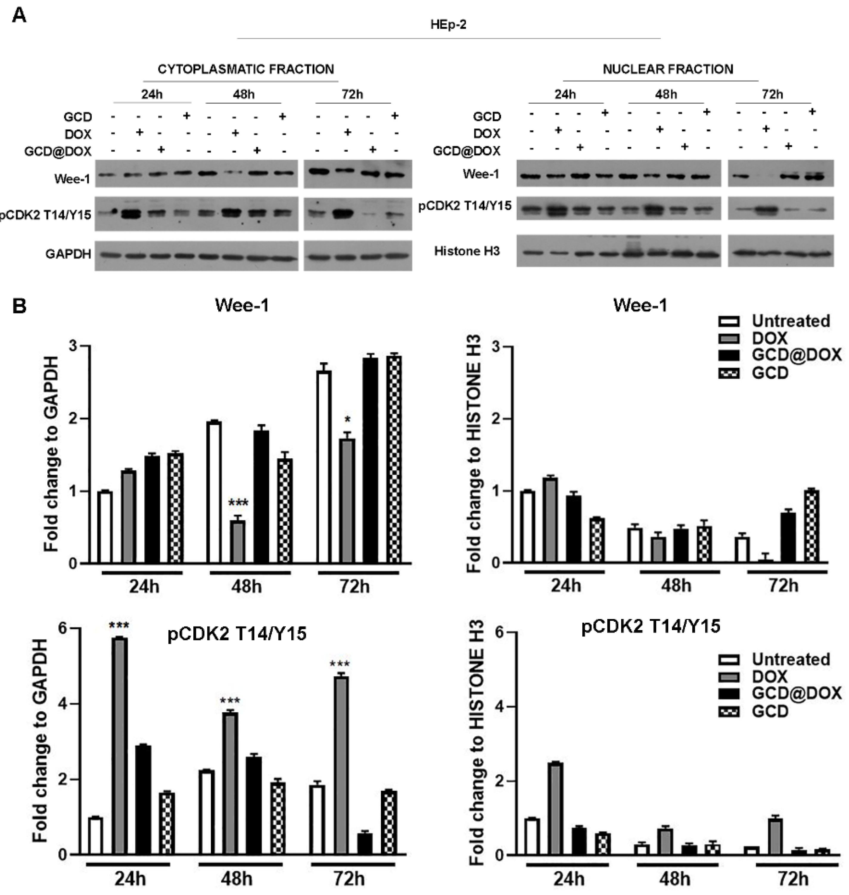 Biomolecules 12 00063 g003
