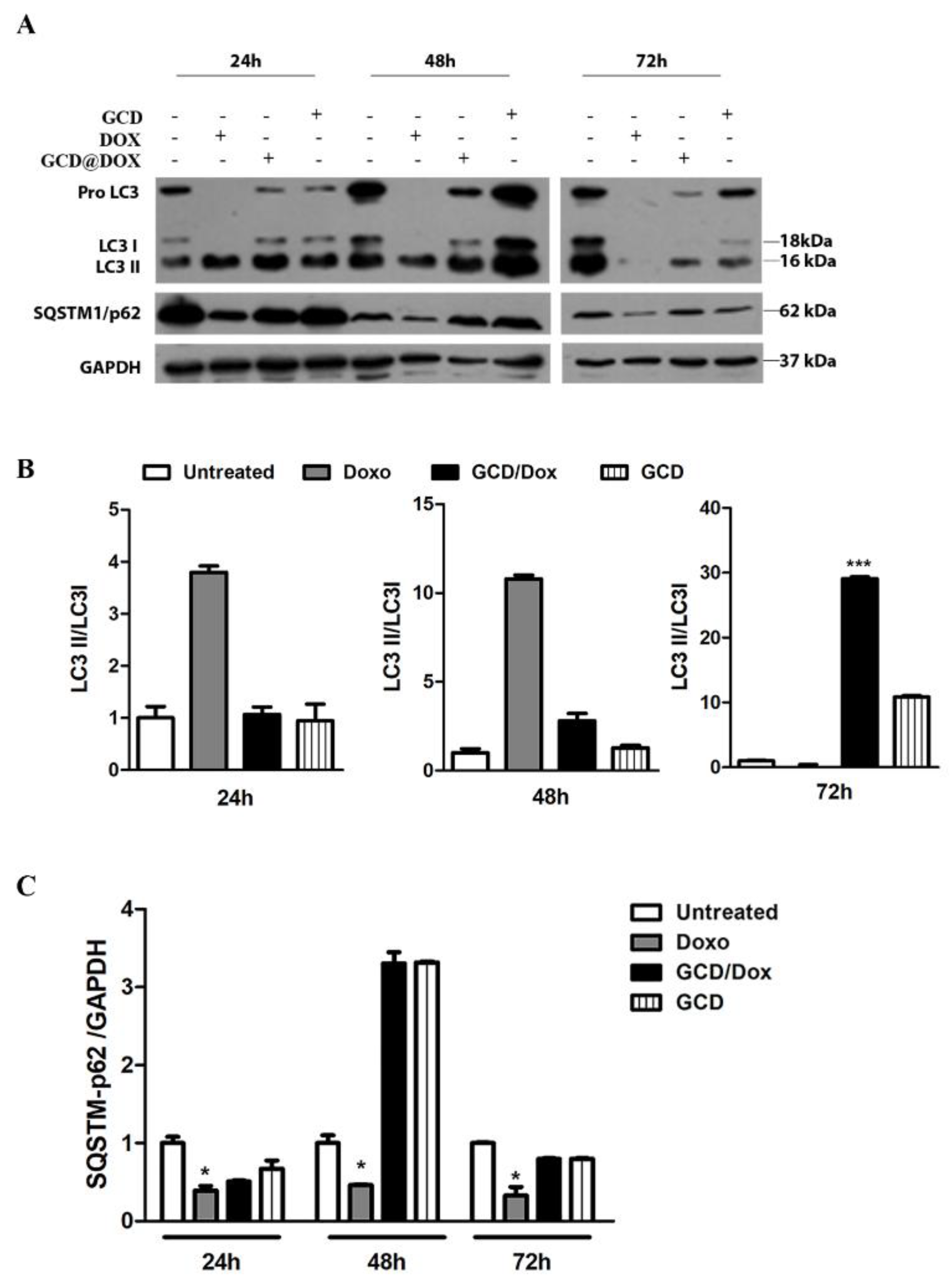 Biomolecules 12 00063 g005