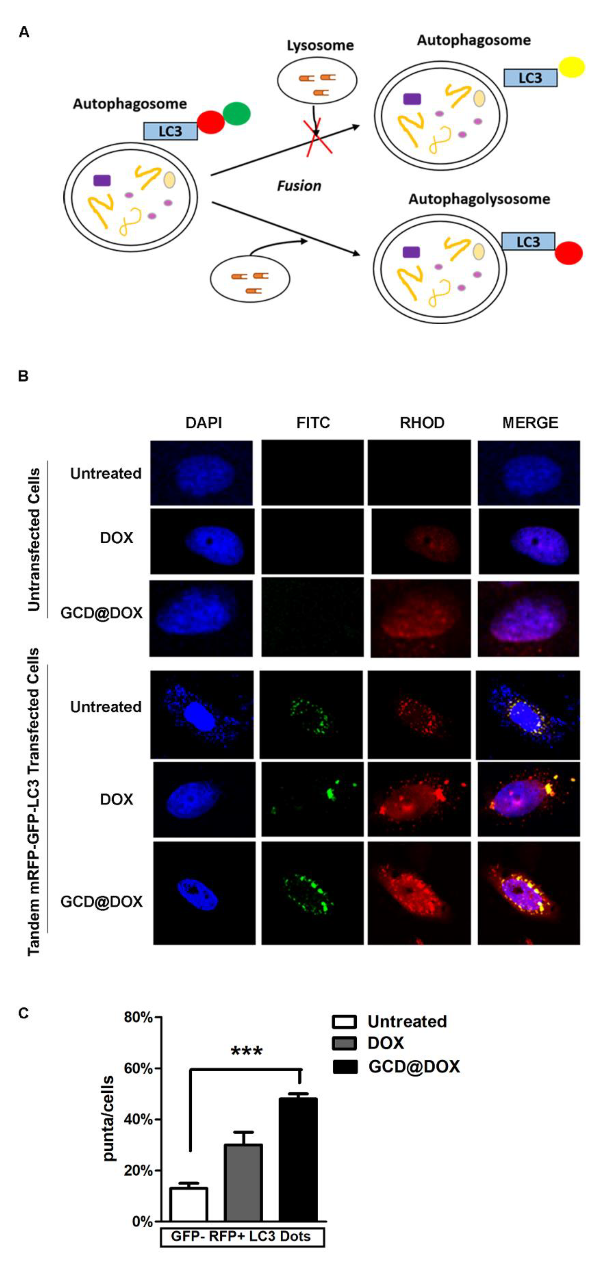 Biomolecules 12 00063 g006