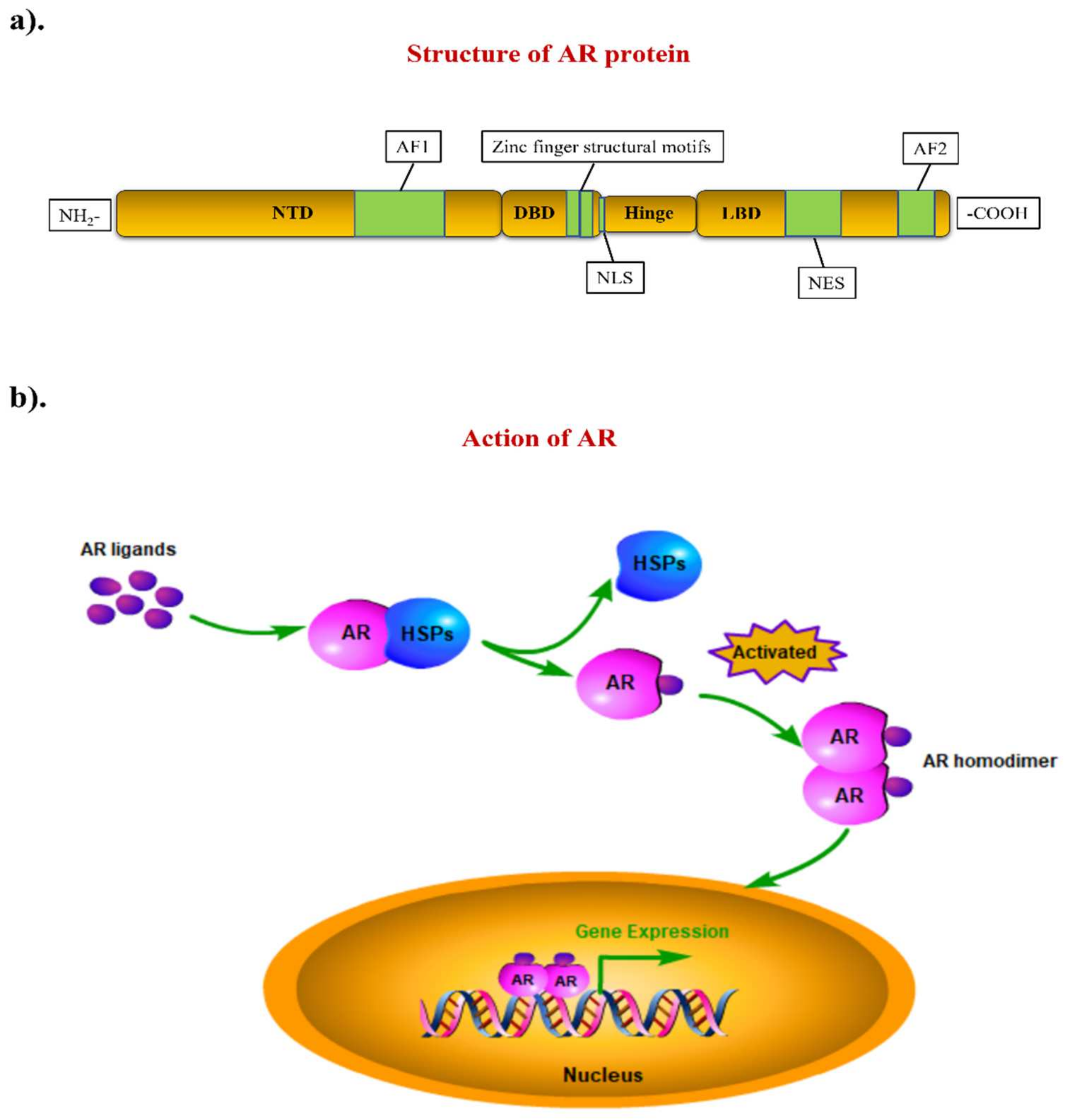 Biomolecules 12 00072 g001