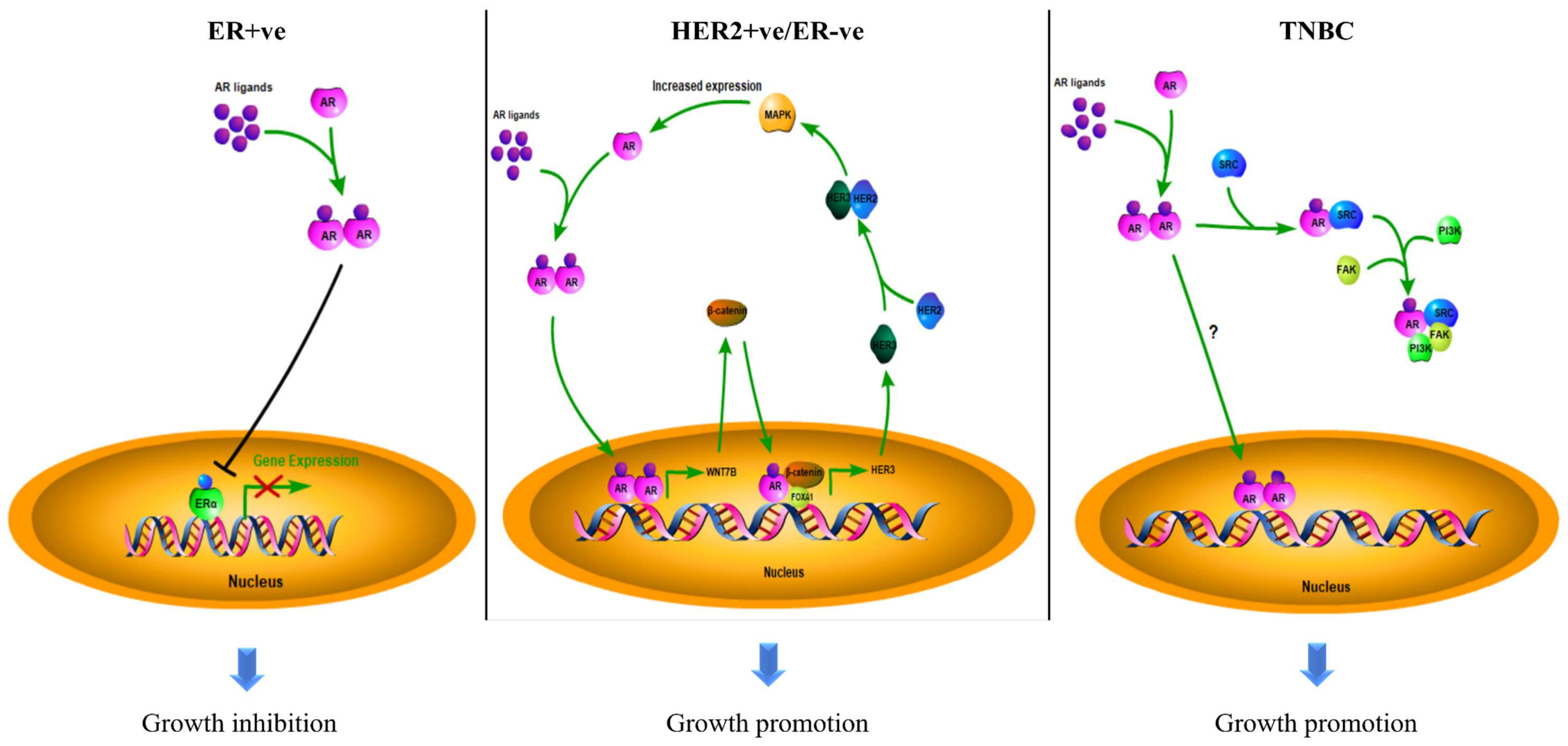 Biomolecules 12 00072 g002