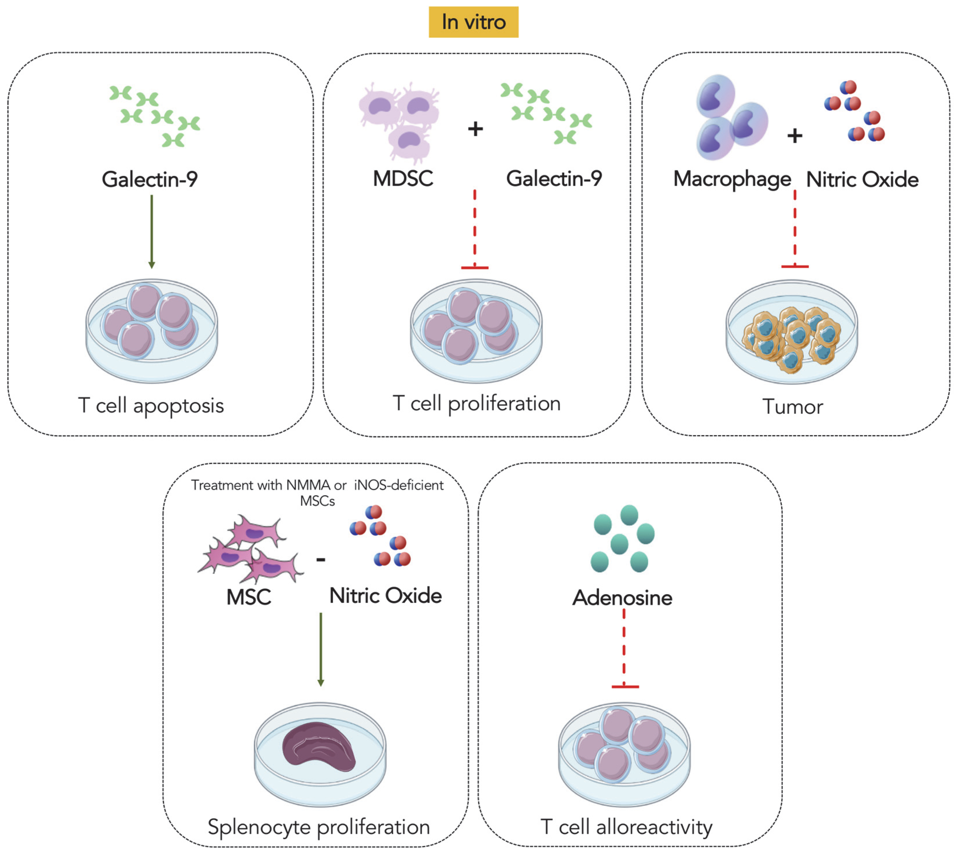Biomolecules 12 00075 g002