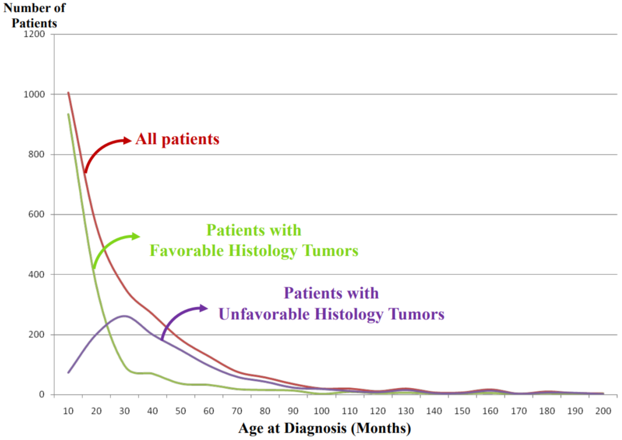 Biomolecules 12 00079 g004