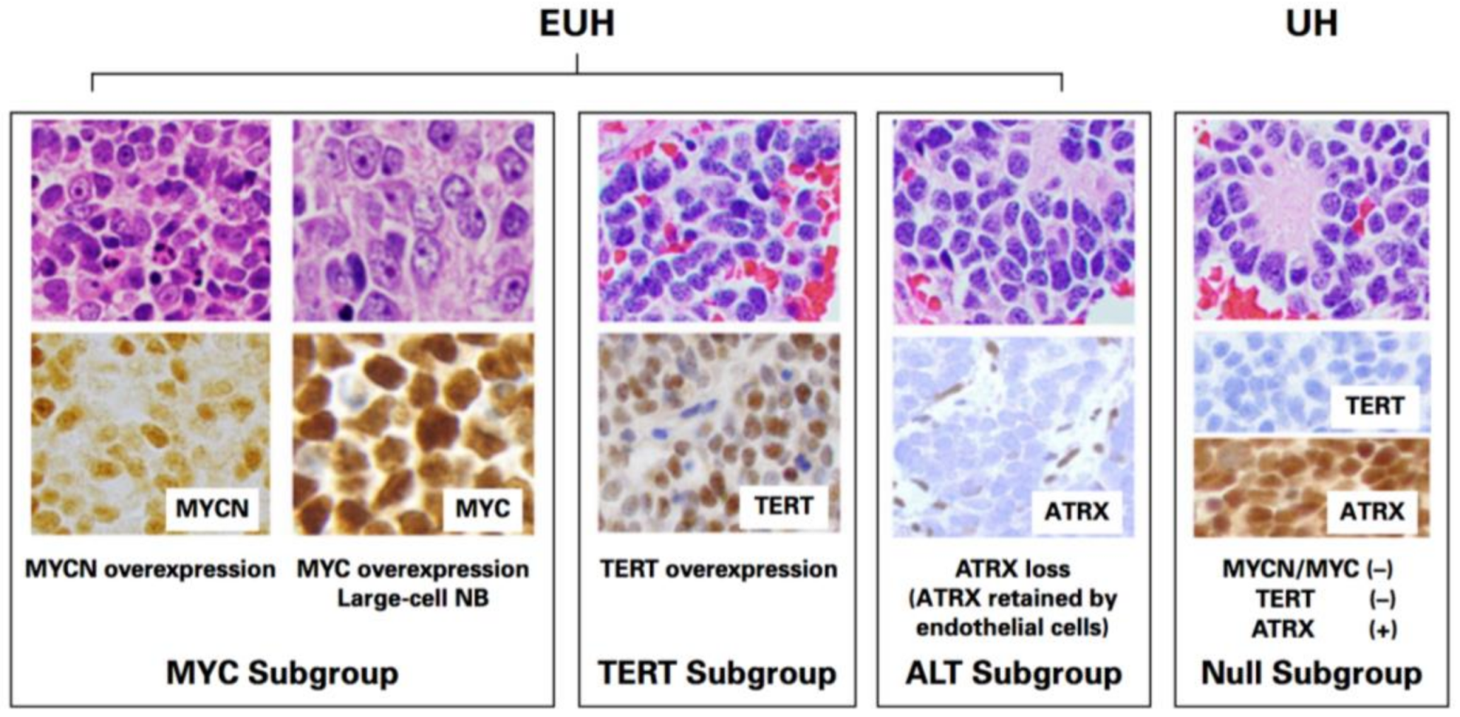 Biomolecules 12 00079 g005