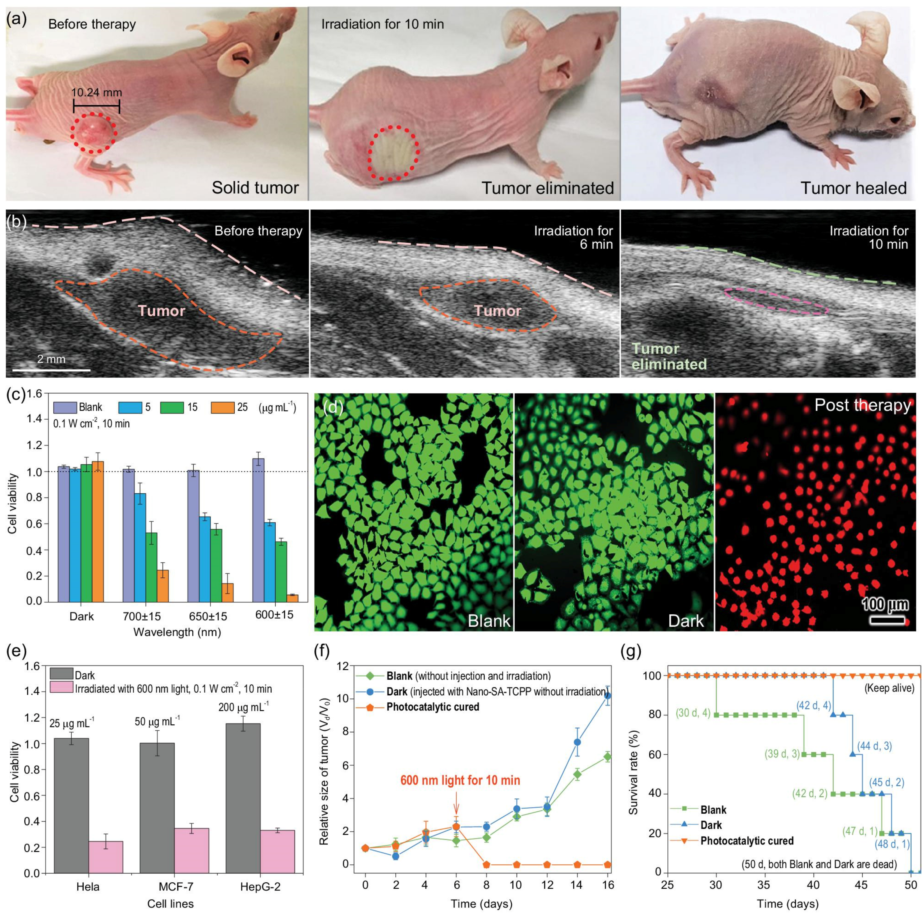 Biomolecules 12 00081 g001