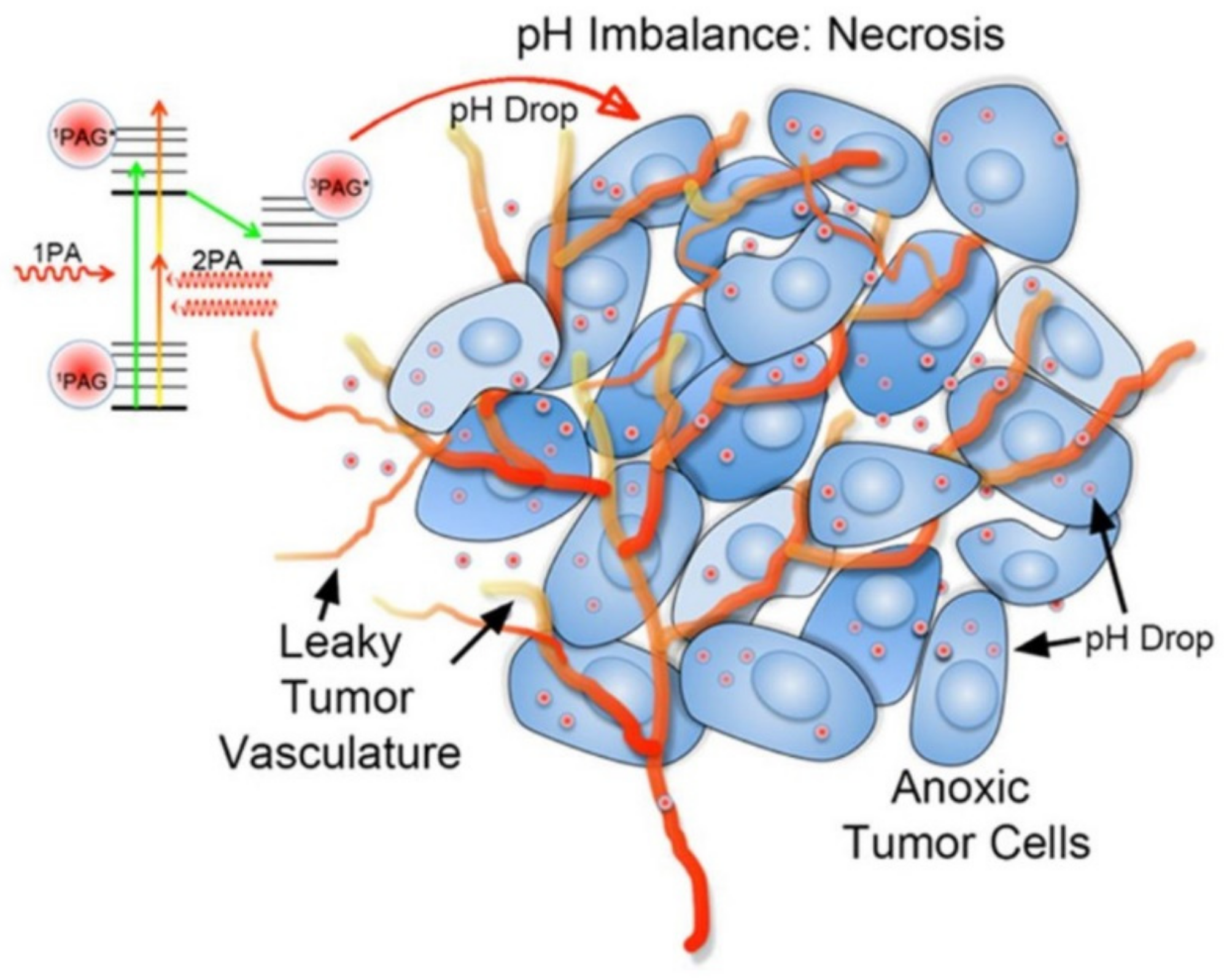 Biomolecules 12 00081 g002
