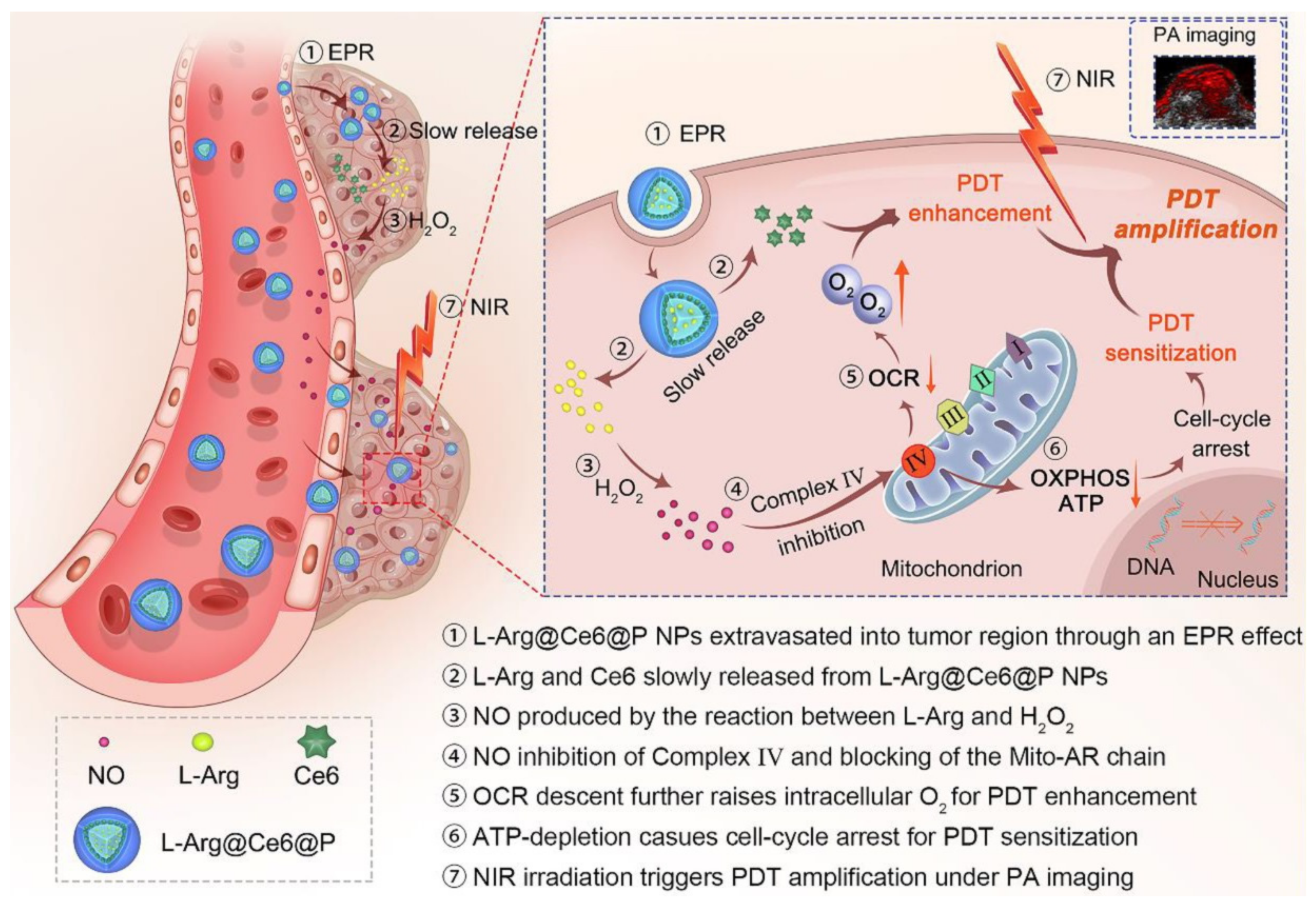 Biomolecules 12 00081 g006