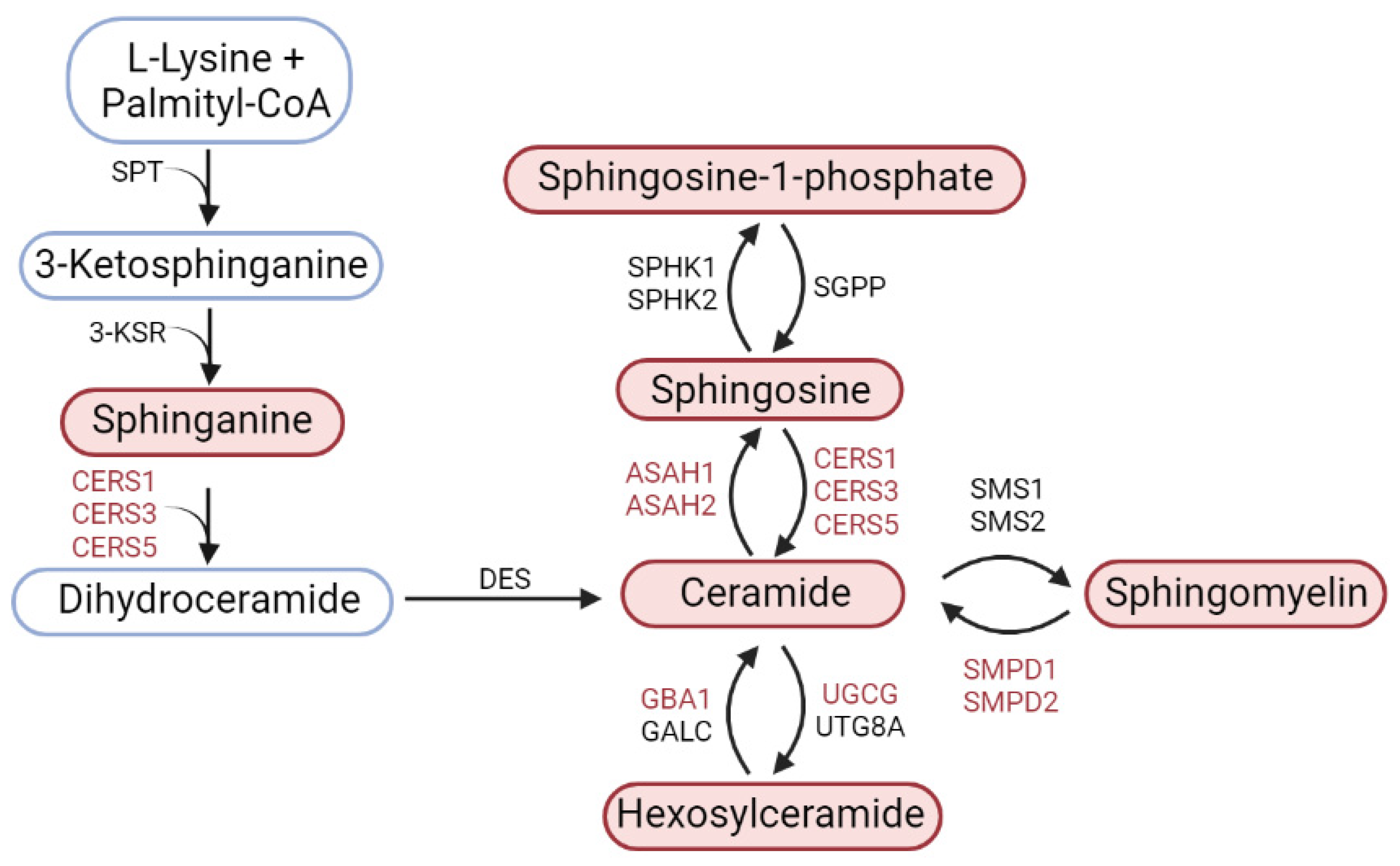 Biomolecules 12 00093 g009 Biomolecules 12 00093 g009
