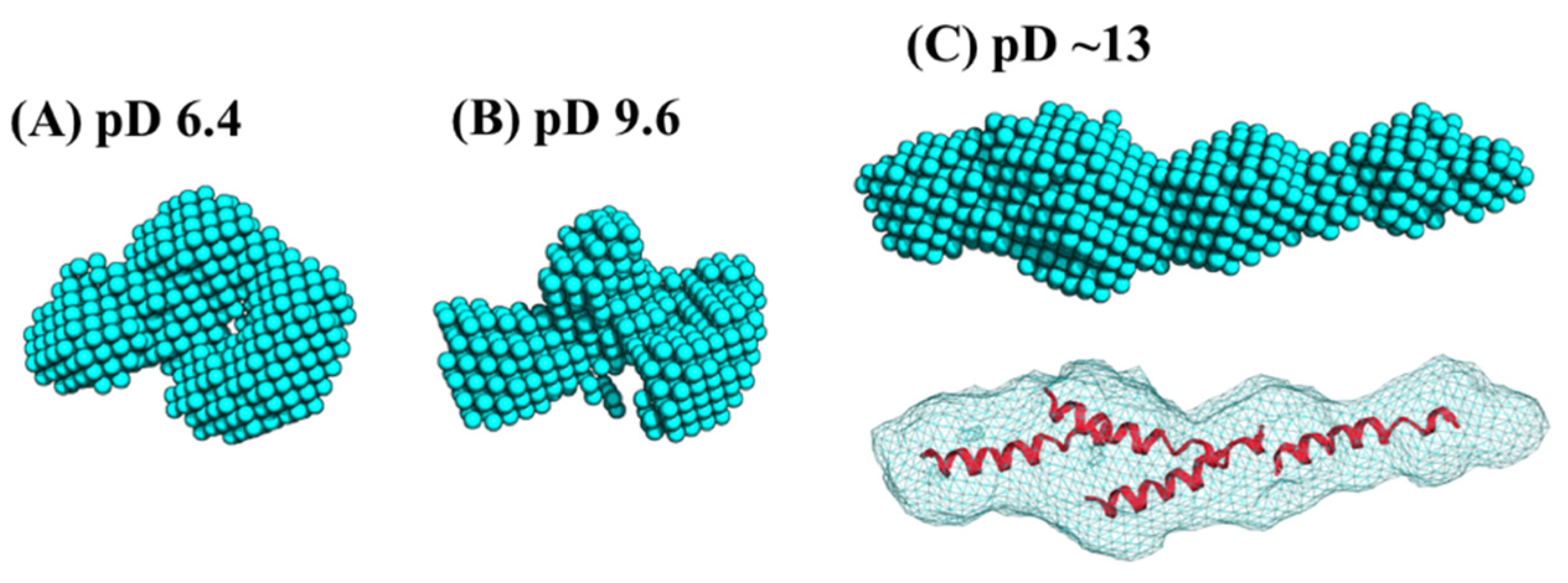 Biomolecules 12 00095 g005