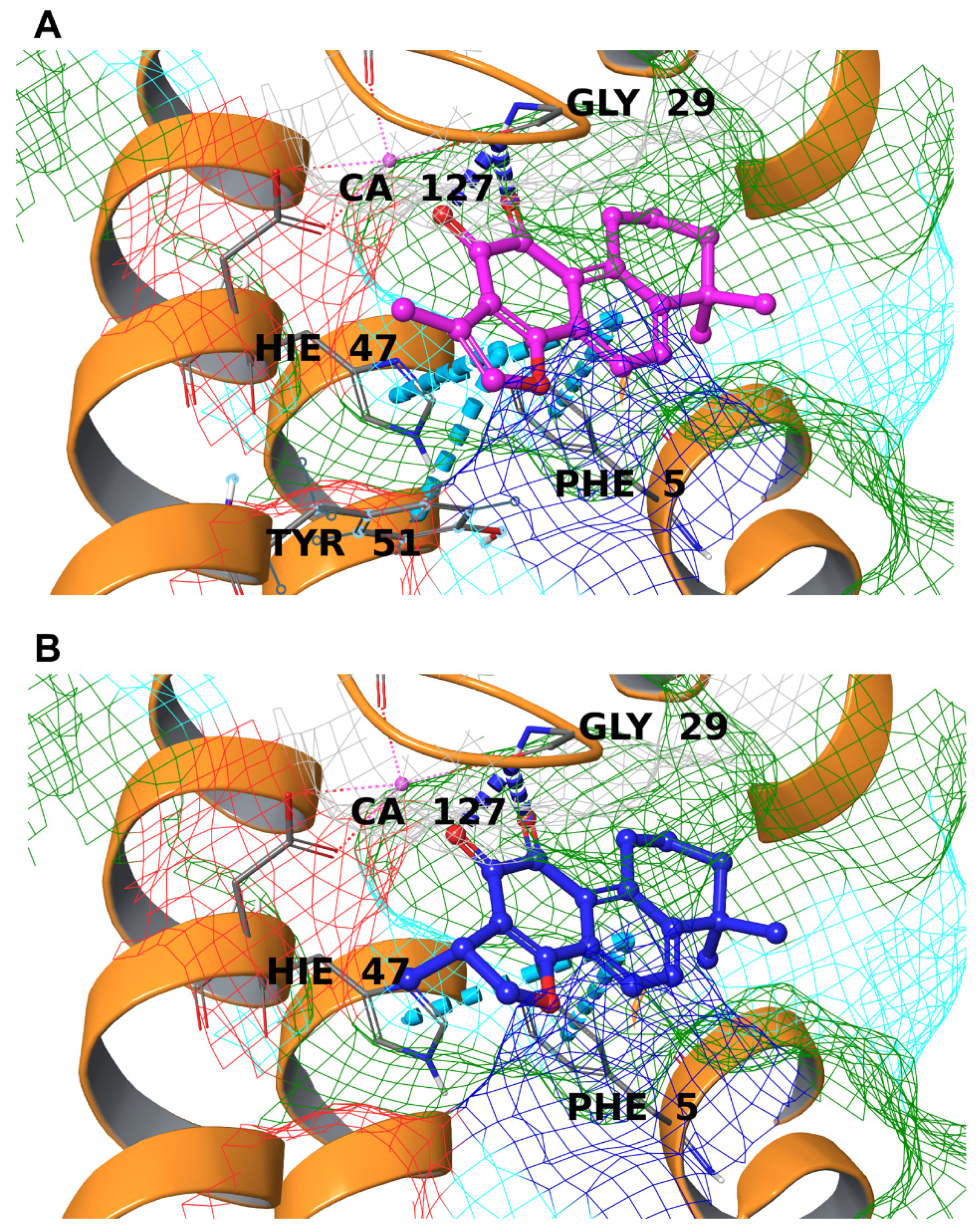 Biomolecules 12 00099 g004 Biomolecules 12 00099 g004