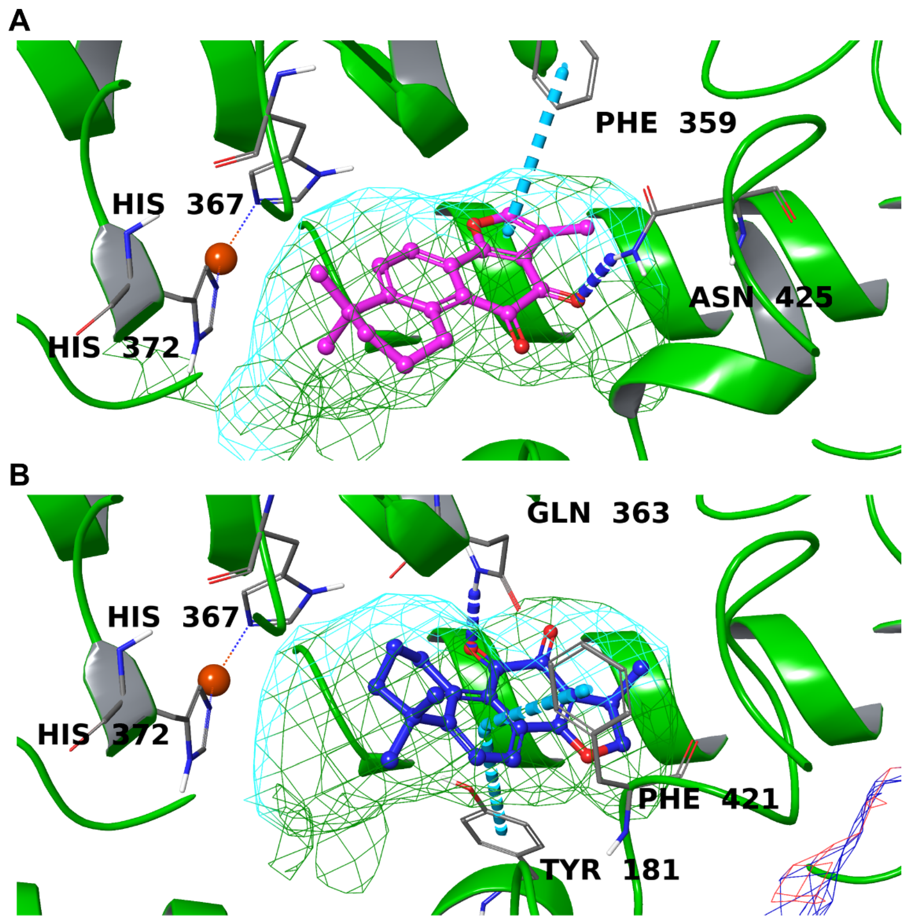Biomolecules 12 00099 g006 Biomolecules 12 00099 g006