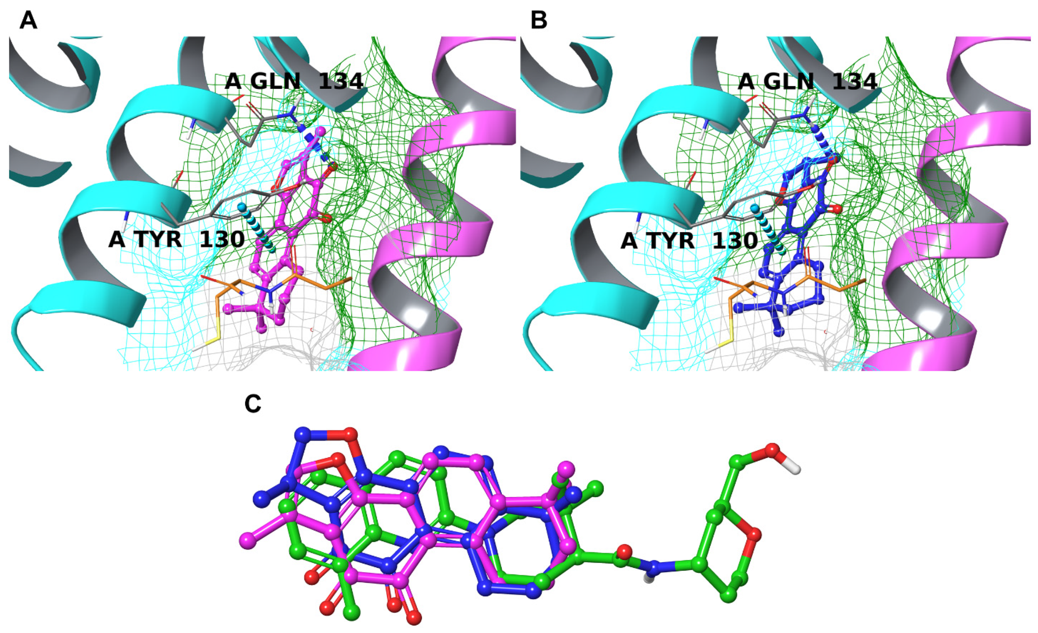 Biomolecules 12 00099 g007 Biomolecules 12 00099 g007