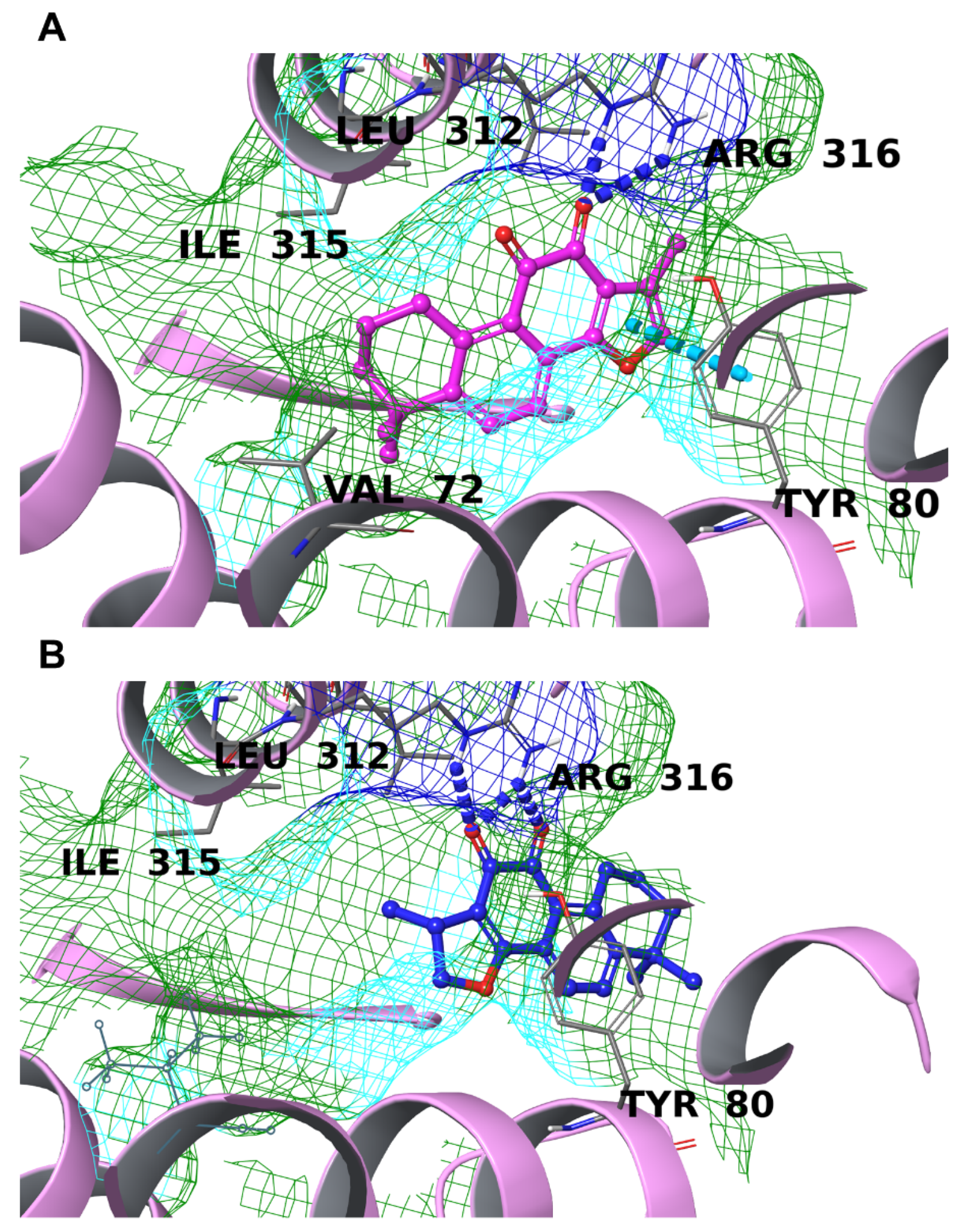 Biomolecules 12 00099 g010 Biomolecules 12 00099 g010
