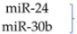 Biomolecules 12 00100 i001 Biomolecules 12 00100 i001