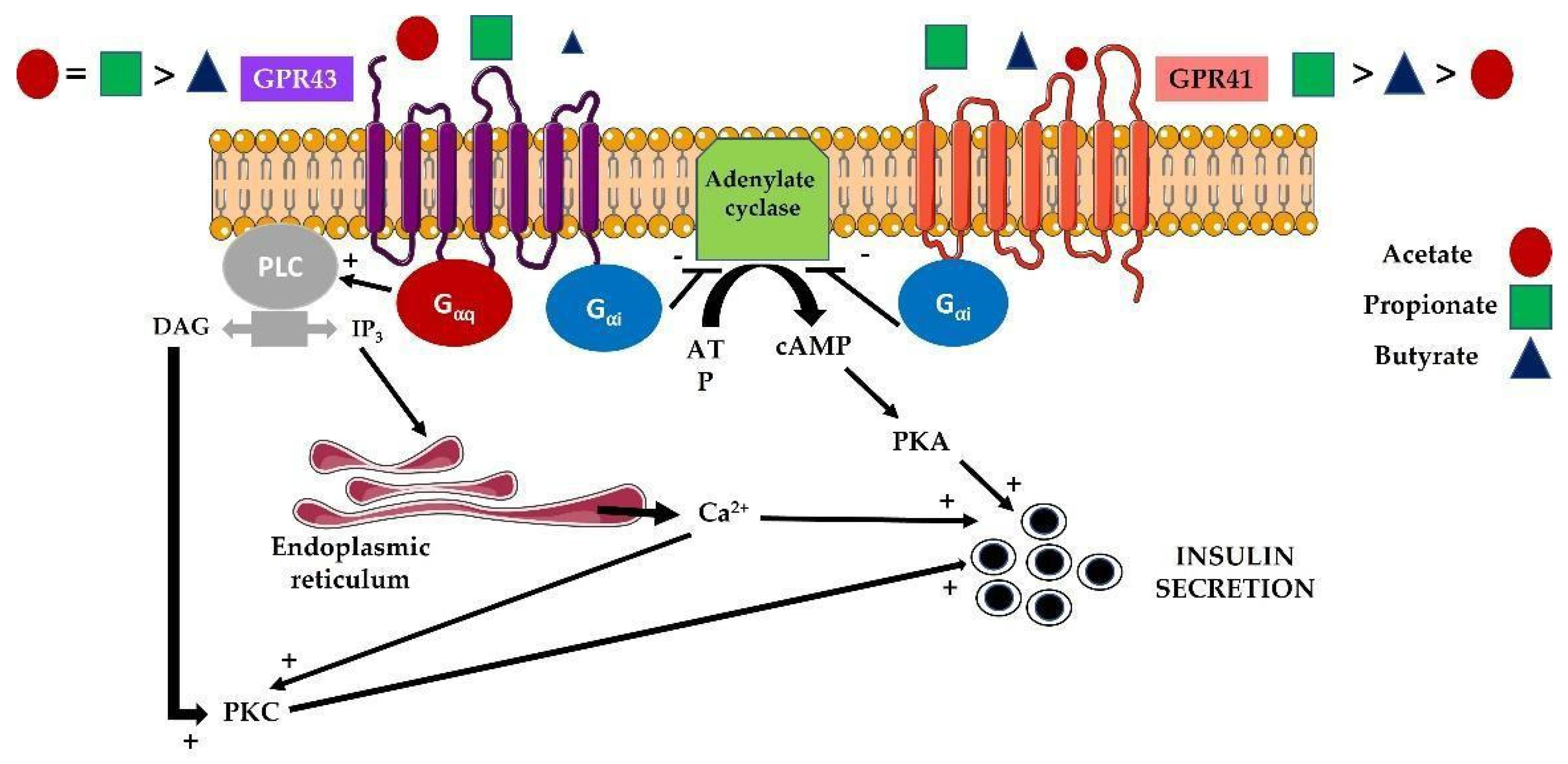 Biomolecules 12 00104 g002 Biomolecules 12 00104 g002
