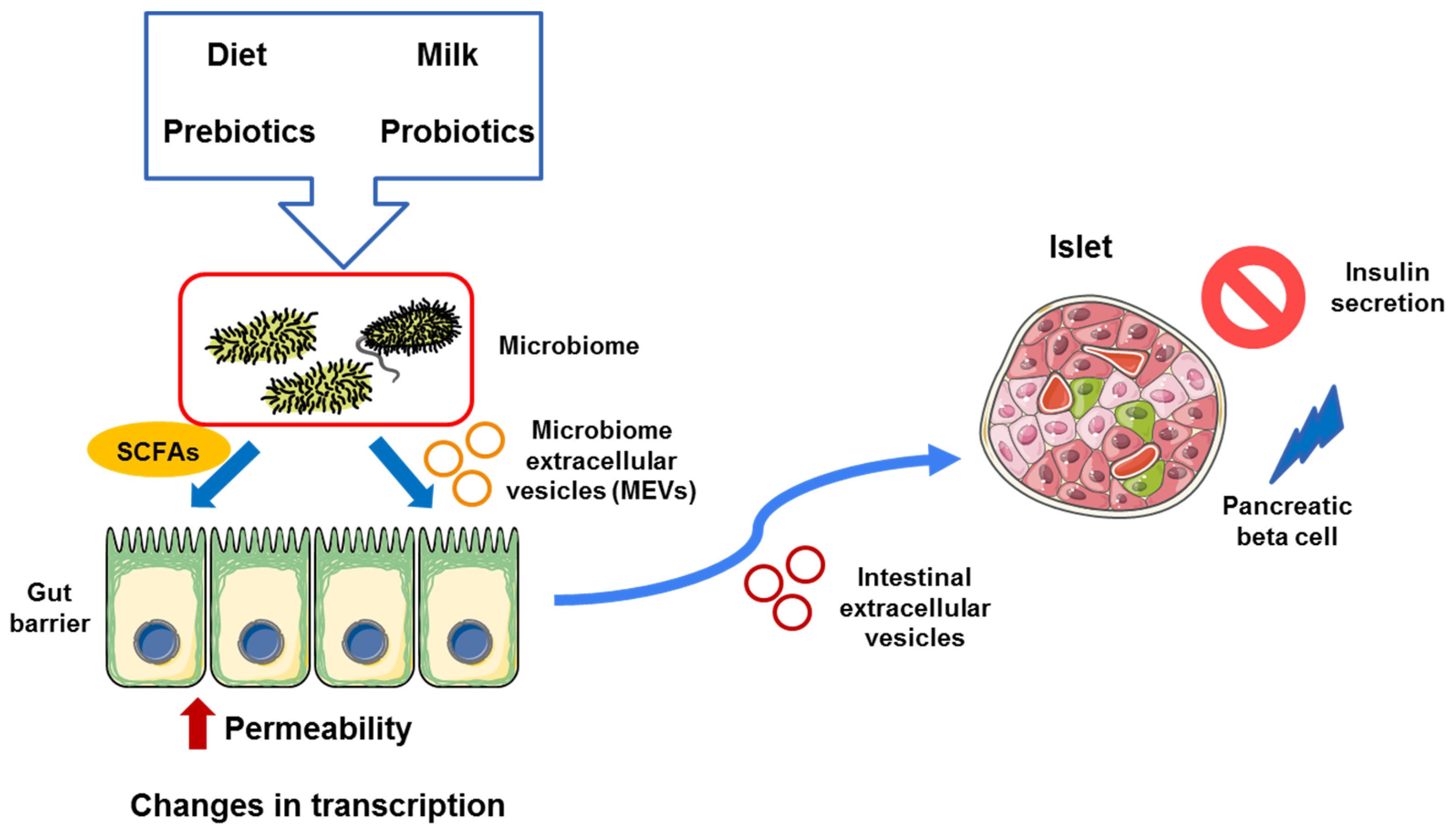 Biomolecules 12 00104 g003 Biomolecules 12 00104 g003