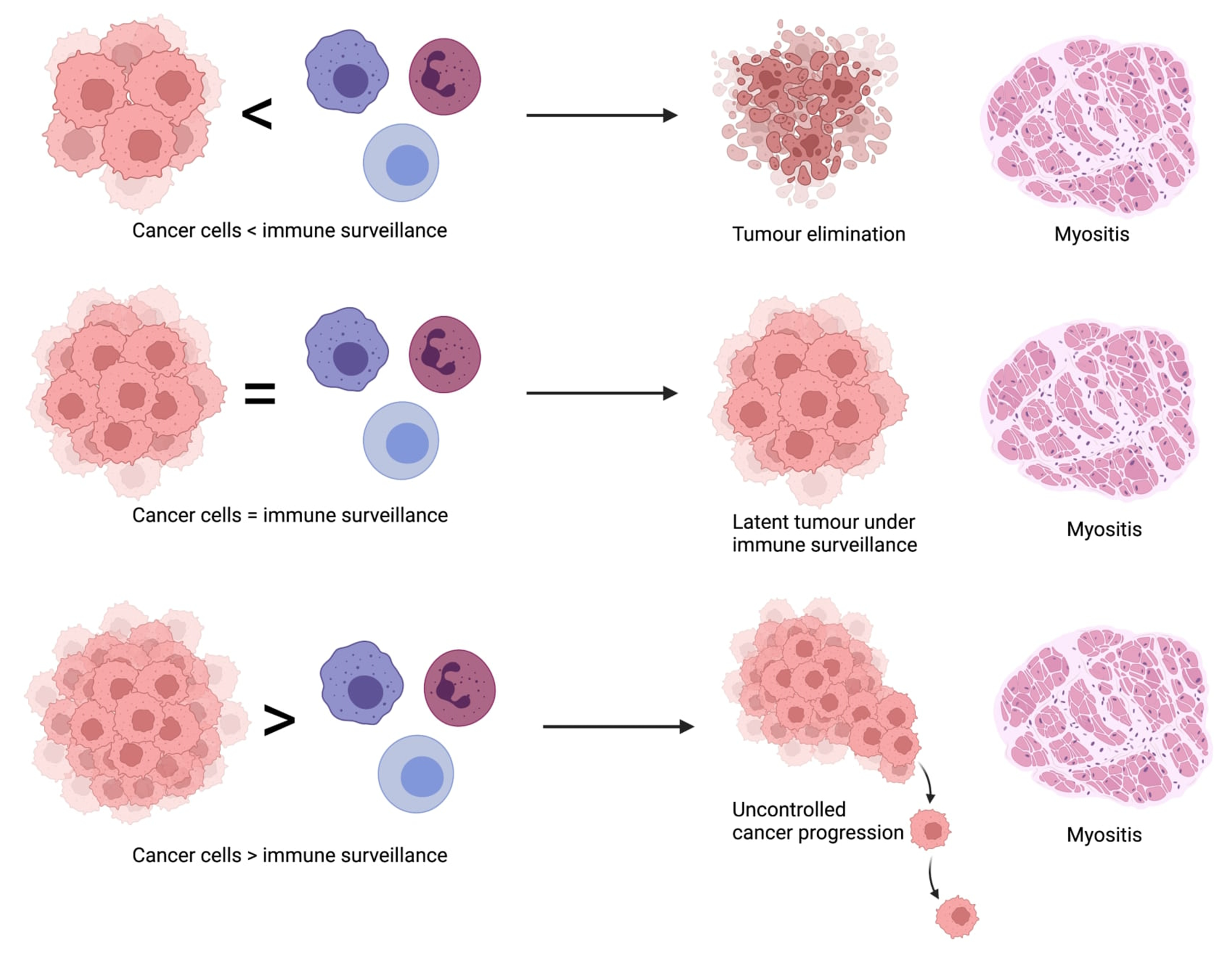 Biomolecules 12 00111 g001
