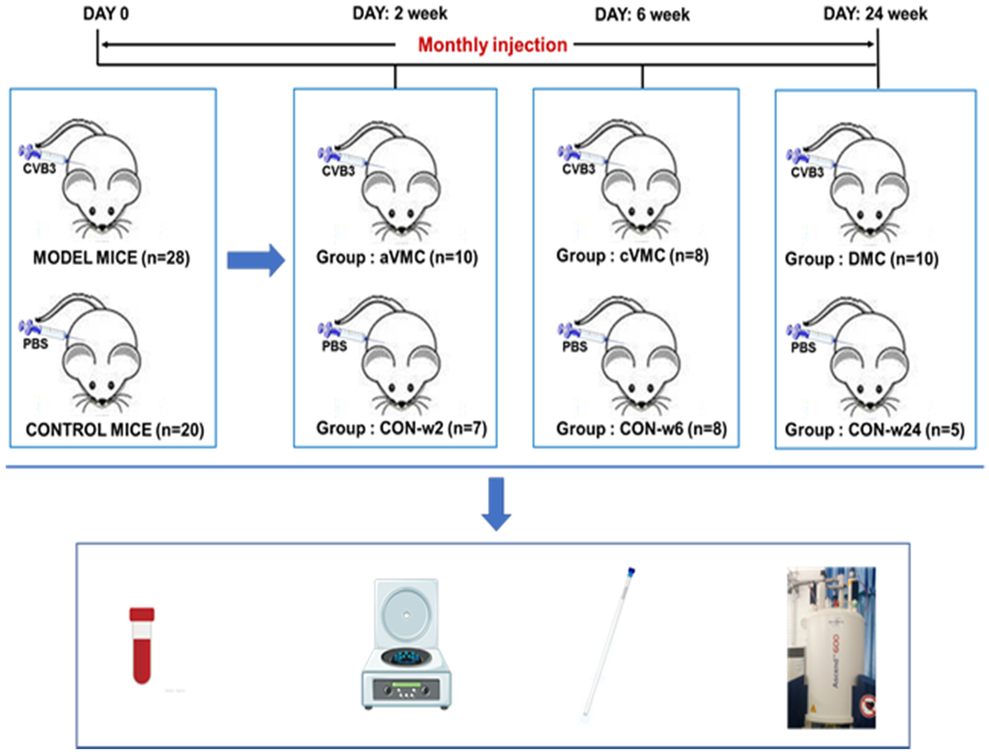 Biomolecules 12 00112 g001