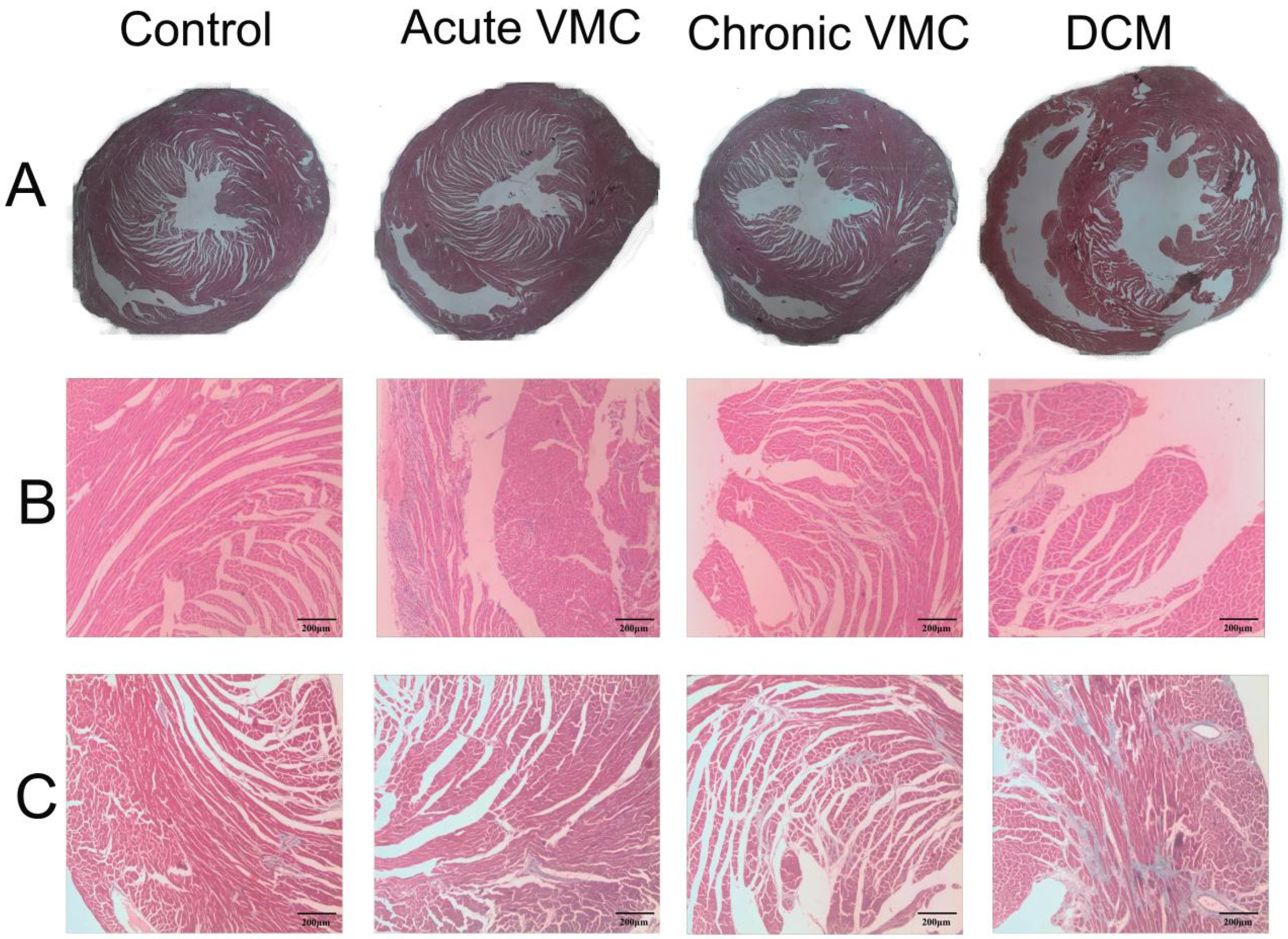 Biomolecules 12 00112 g002