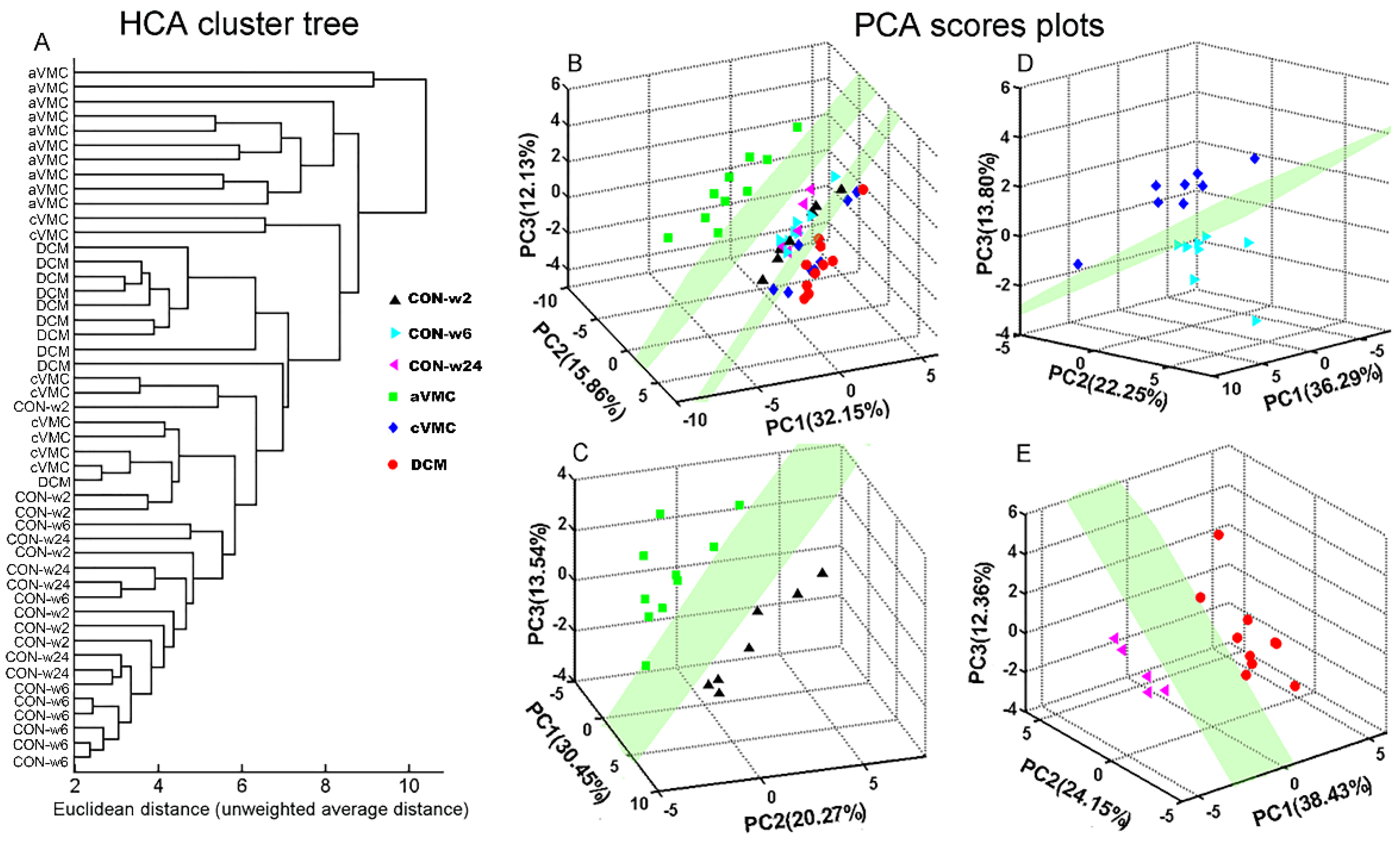 Biomolecules 12 00112 g003