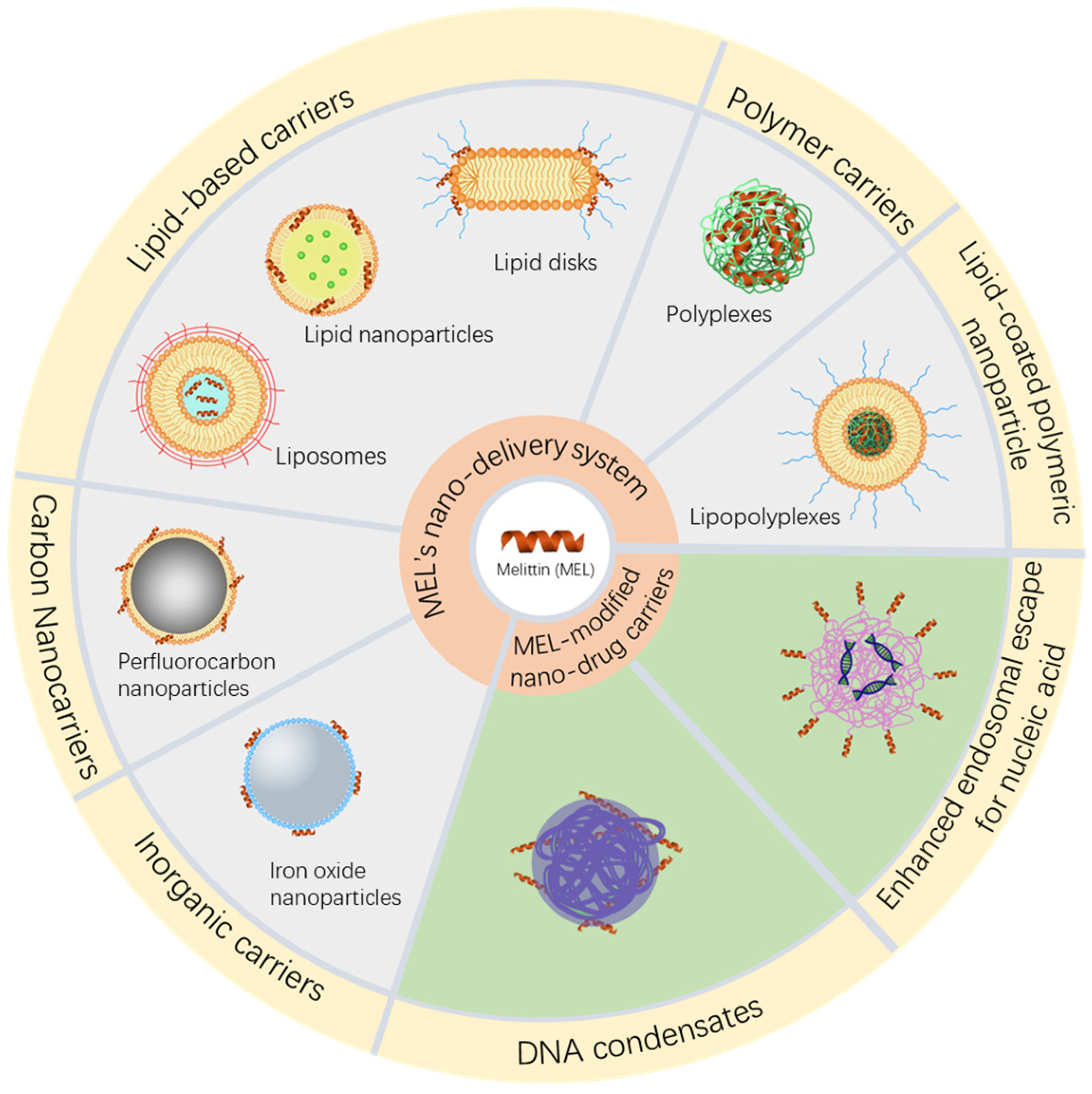 Biomolecules 12 00118 g002