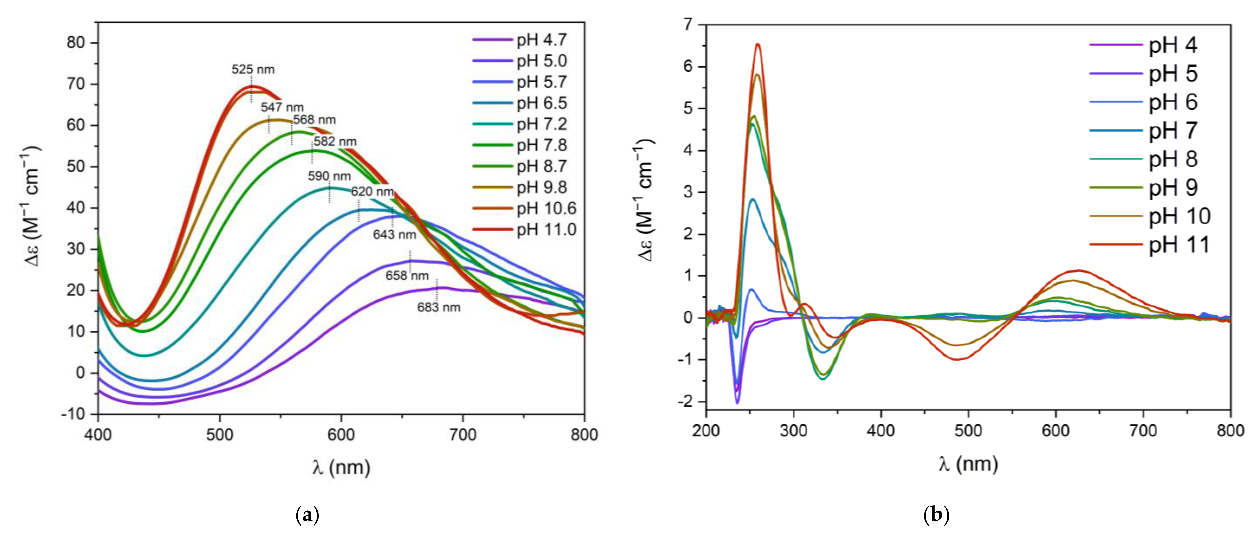 Biomolecules 12 00121 g001 Biomolecules 12 00121 g001
