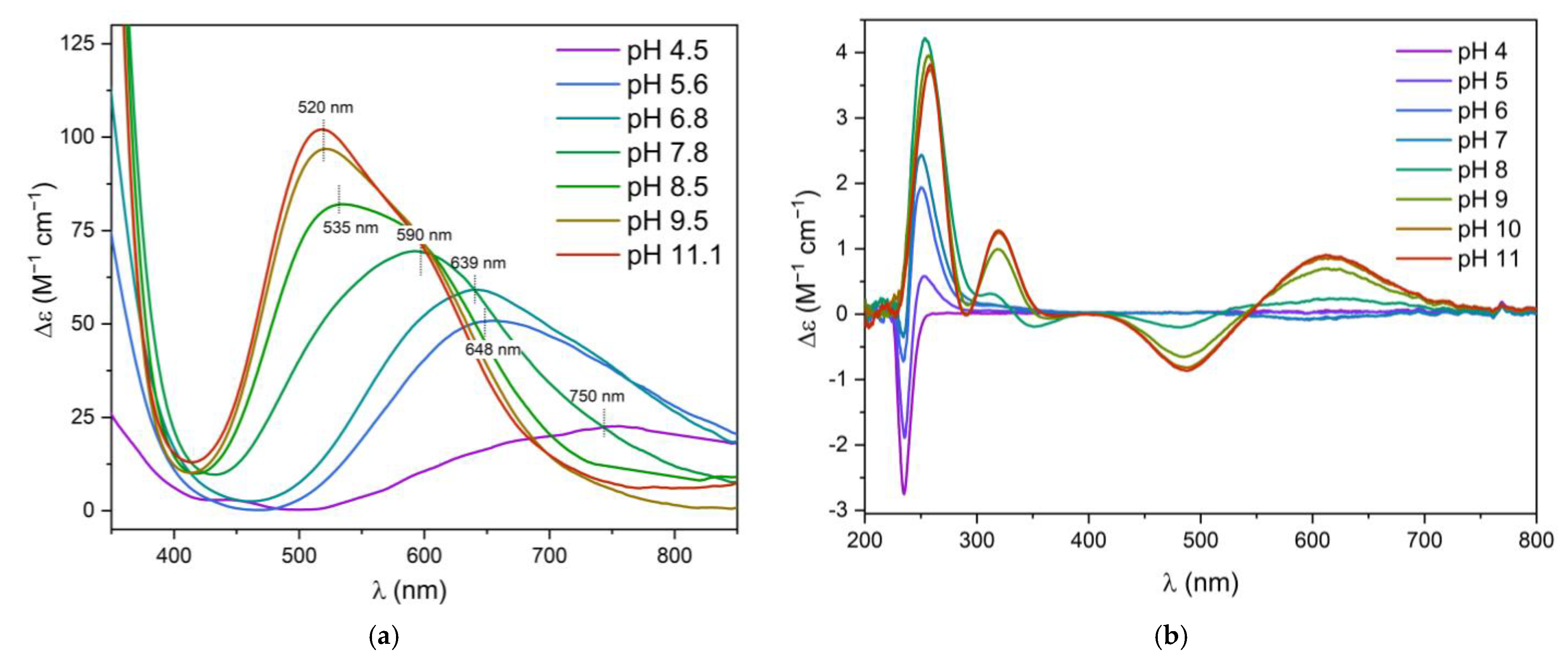 Biomolecules 12 00121 g002 Biomolecules 12 00121 g002